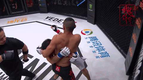 FinishMoment_7.gif