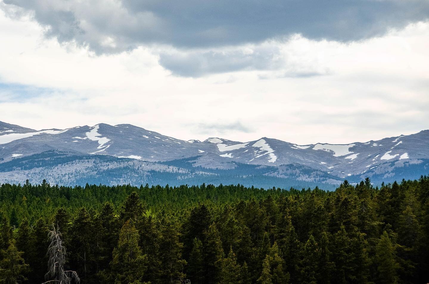 Didn&rsquo;t realize how much I missed the mountains until we were driving through them. 😭
.
.
.
#travel #traveling #vacation #instatravel #instago #instagood #trip #photooftheday #fun #travelling #wanderlust #explore #adventure #nature #forest #eve