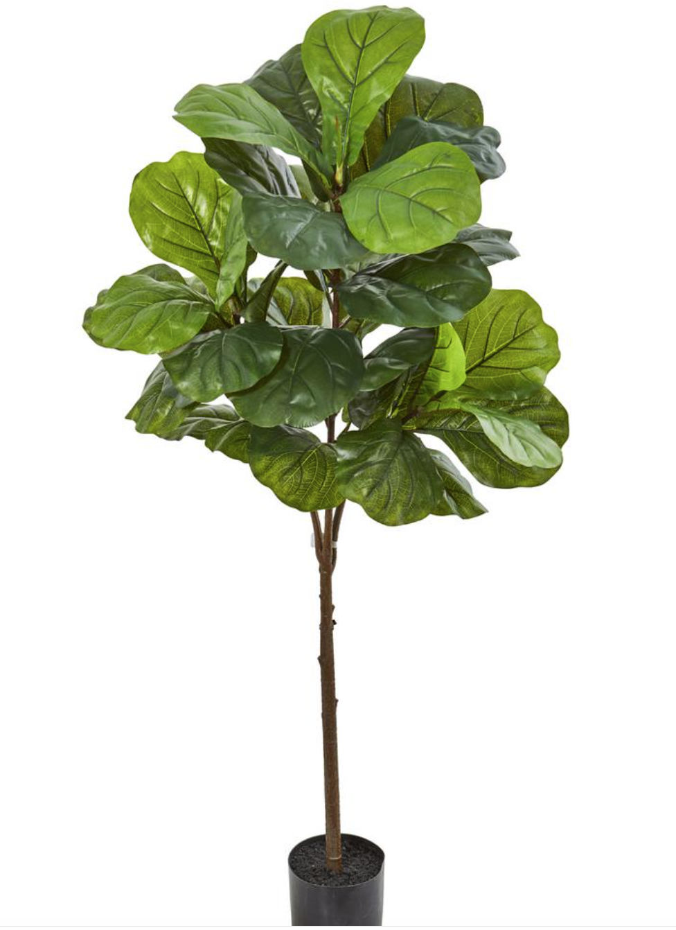 Boho Modern - Artificial Fig Leaf Plant