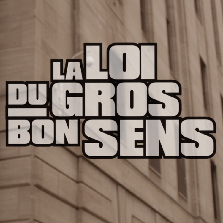 cover-la-loi-en-gros-jf-clement-art-director.png