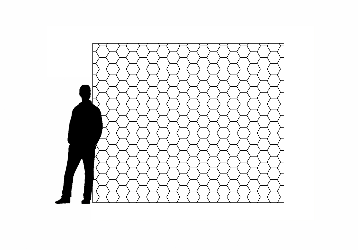 SkateHex_wallwithdude01.gif