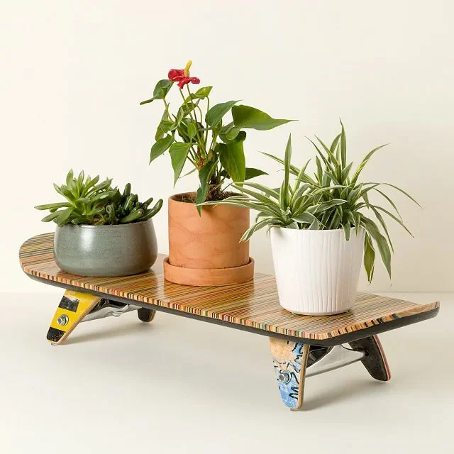 The recycled skateboard display stand being used as a plant stand. The colorful, popsicle stick shaped shelf is diagnol across the image frame. Three potted plant rest on the surface constructed of skateboard edge grain.