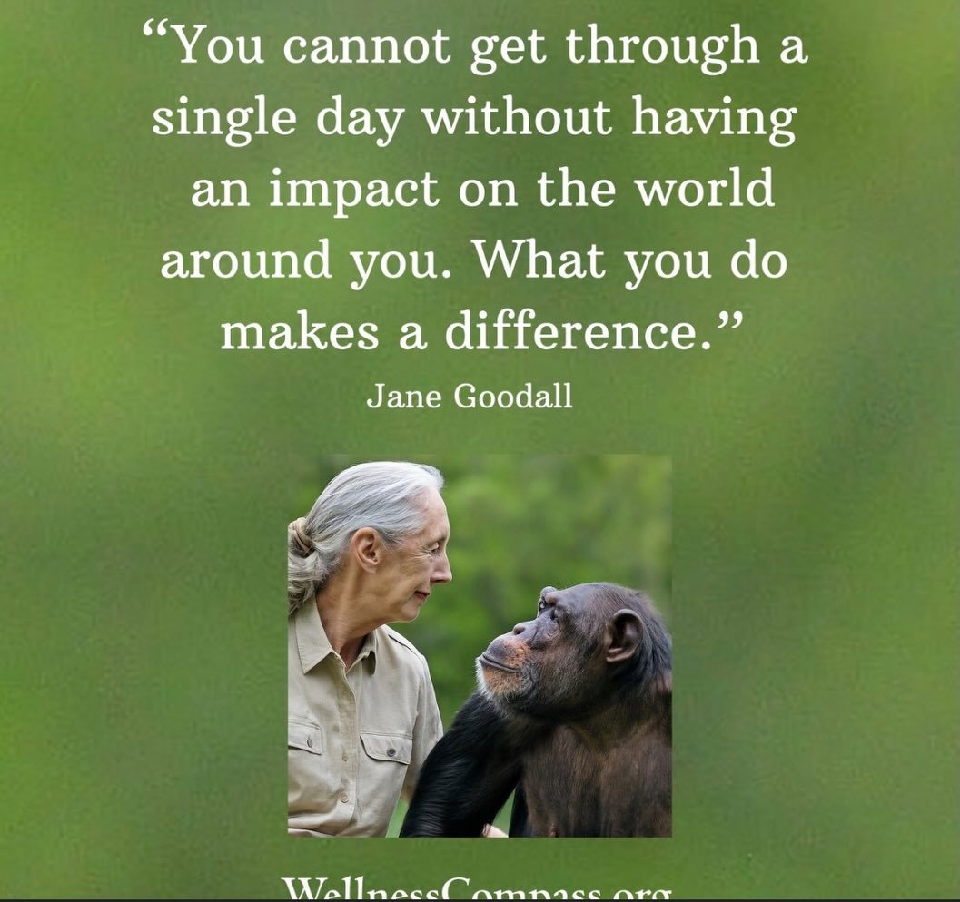 Happy 1st Annual Jane Goodall Day! I had the honor and privilege to meet this AMAZING woman and cried thanking her for all the work she has done for the voiceless. I urge you to honor the first annual Jane Goodall Day by taking action to better your 