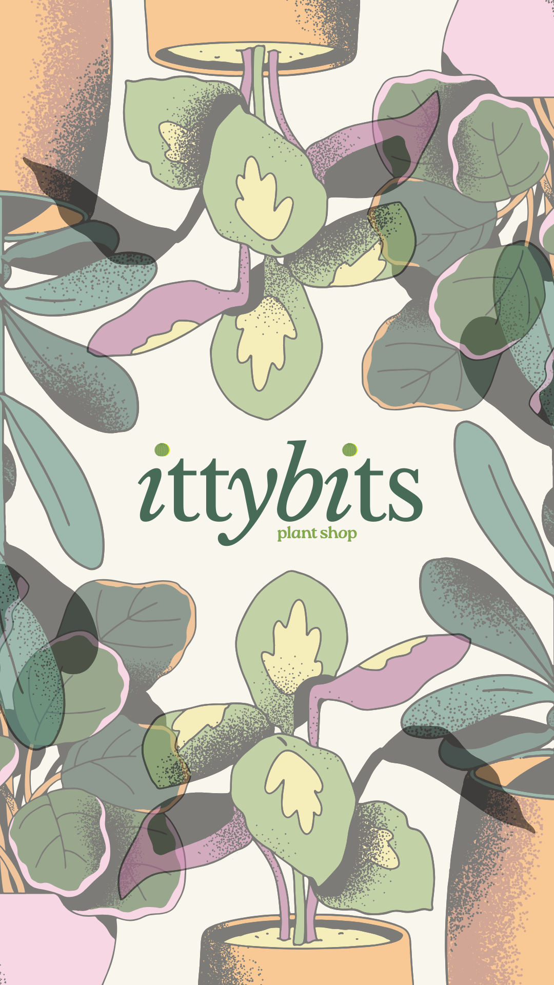 itty bits * open house