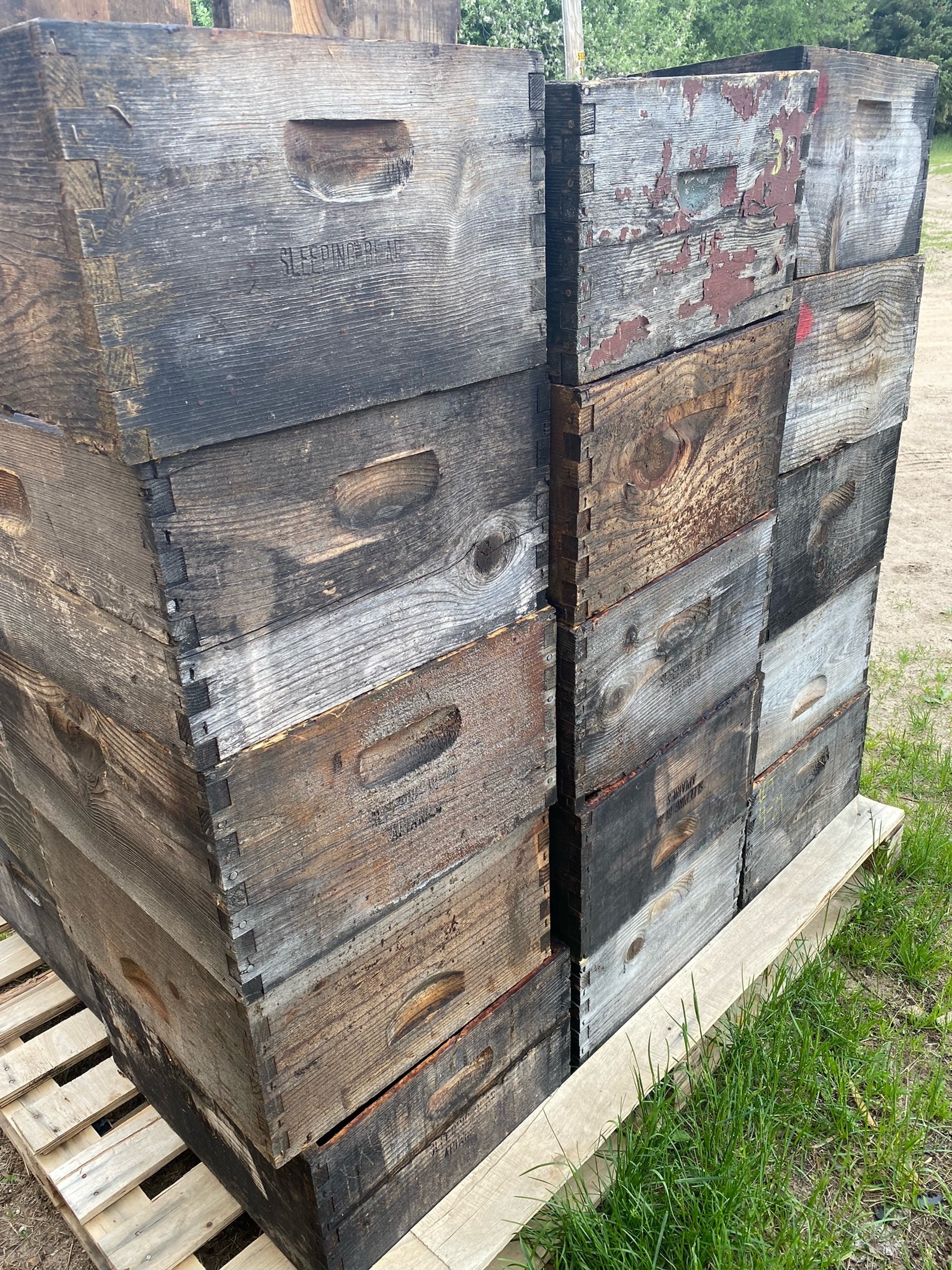St. Ambrose Bee Hives.jpeg