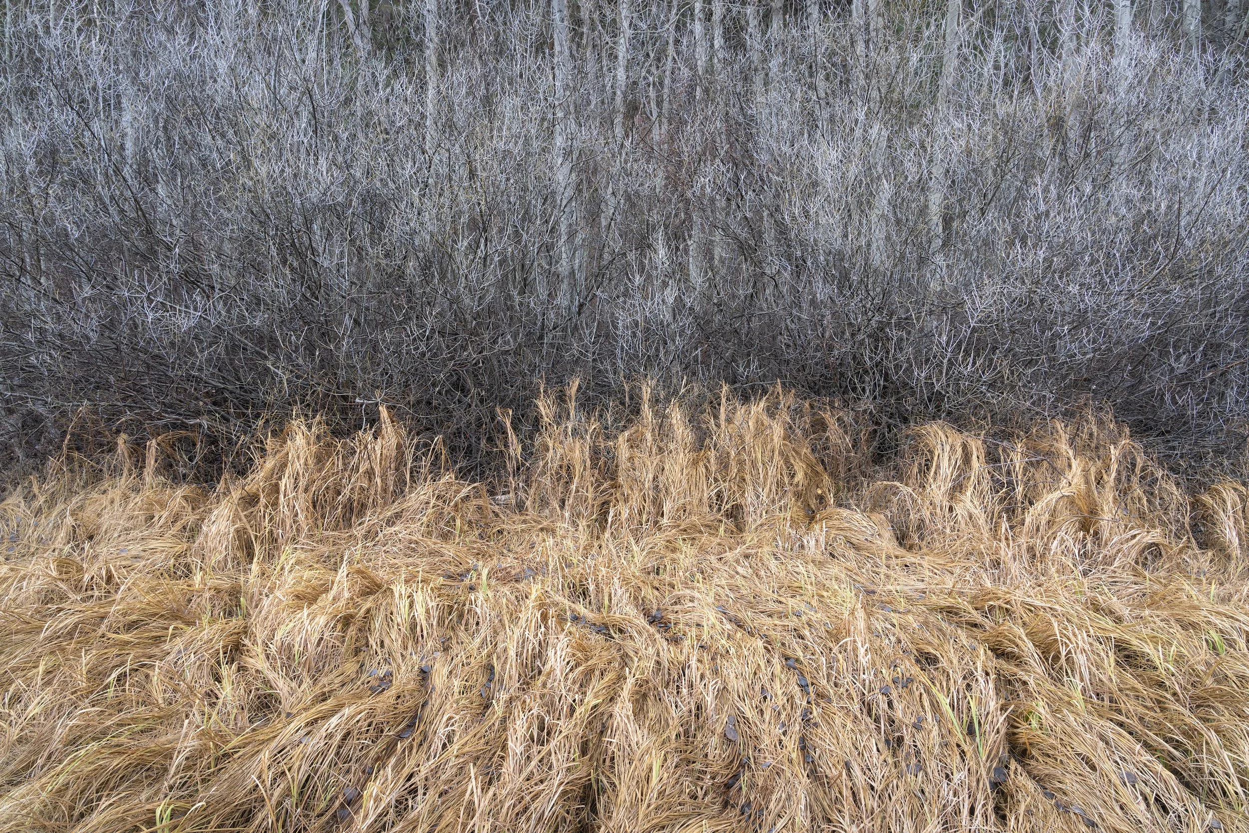 Consuming Textures