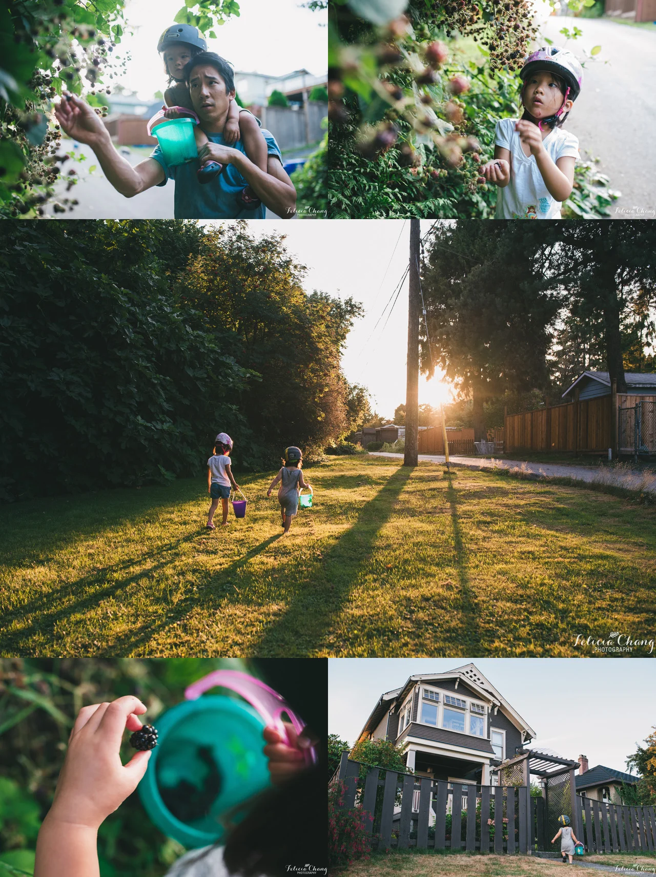 Vancouver Family Photographer | Blackberry Robbers