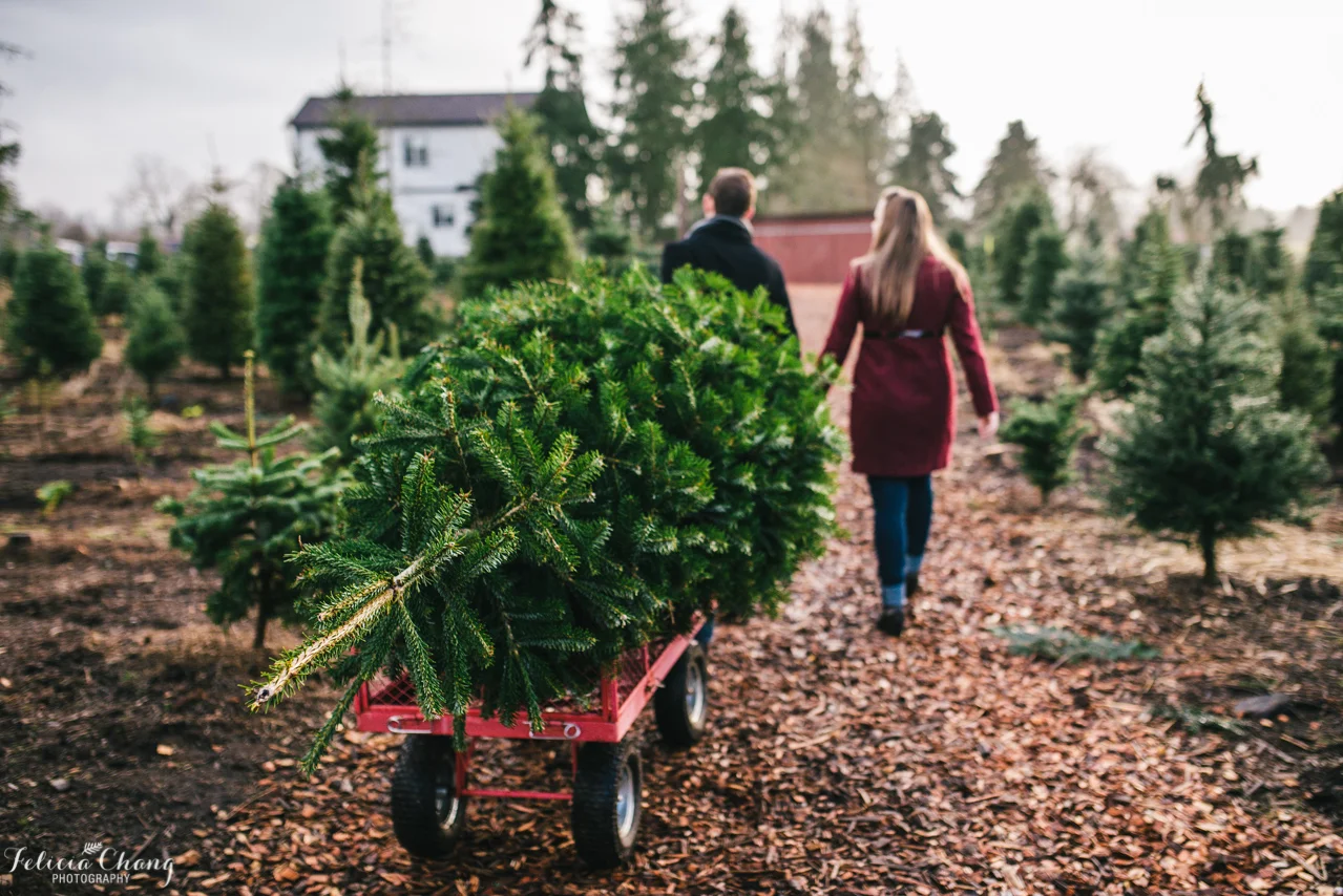 Vancouver Maternity Photographer | A Two and a Half Christmas