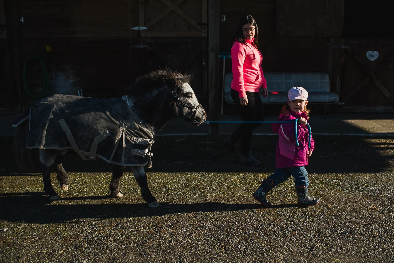 Vancouver Documentary Photographer | Day in the Life of Home on the Farm