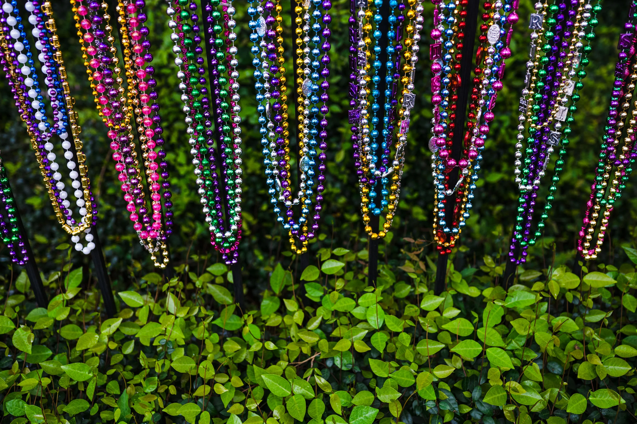 Travel family vacation in New Orleans, Louisiana. Mardi Gras beads on a fence, photography by Felicia Chang.