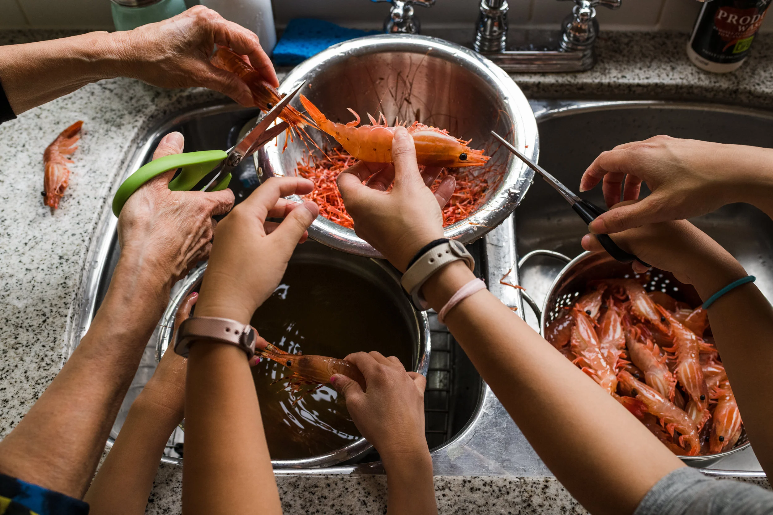 Three generations of women’s hands cleaning and trimming spot prawns at the kitchen sink.