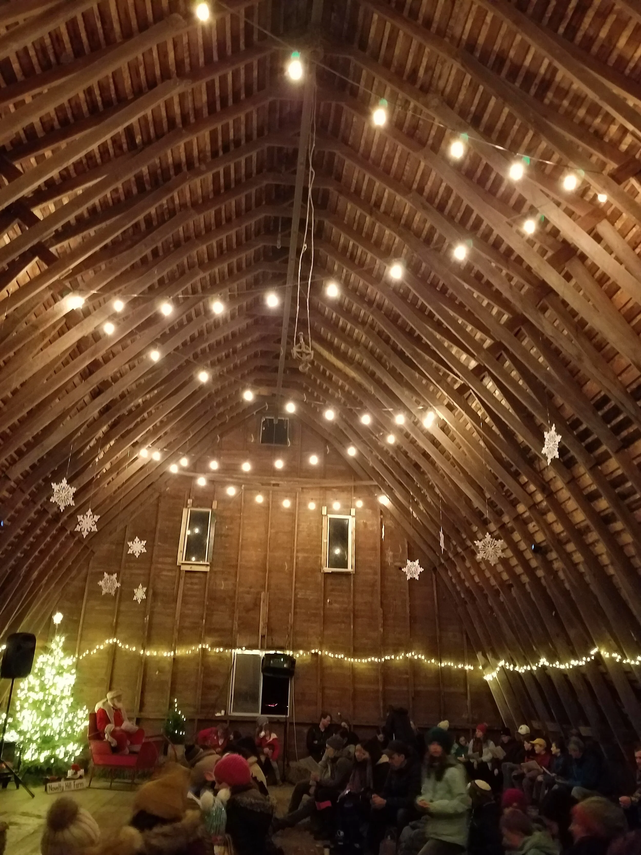 Novelty Hill Farms Tree and Barn Lighting — Your Snohomish County Realtor