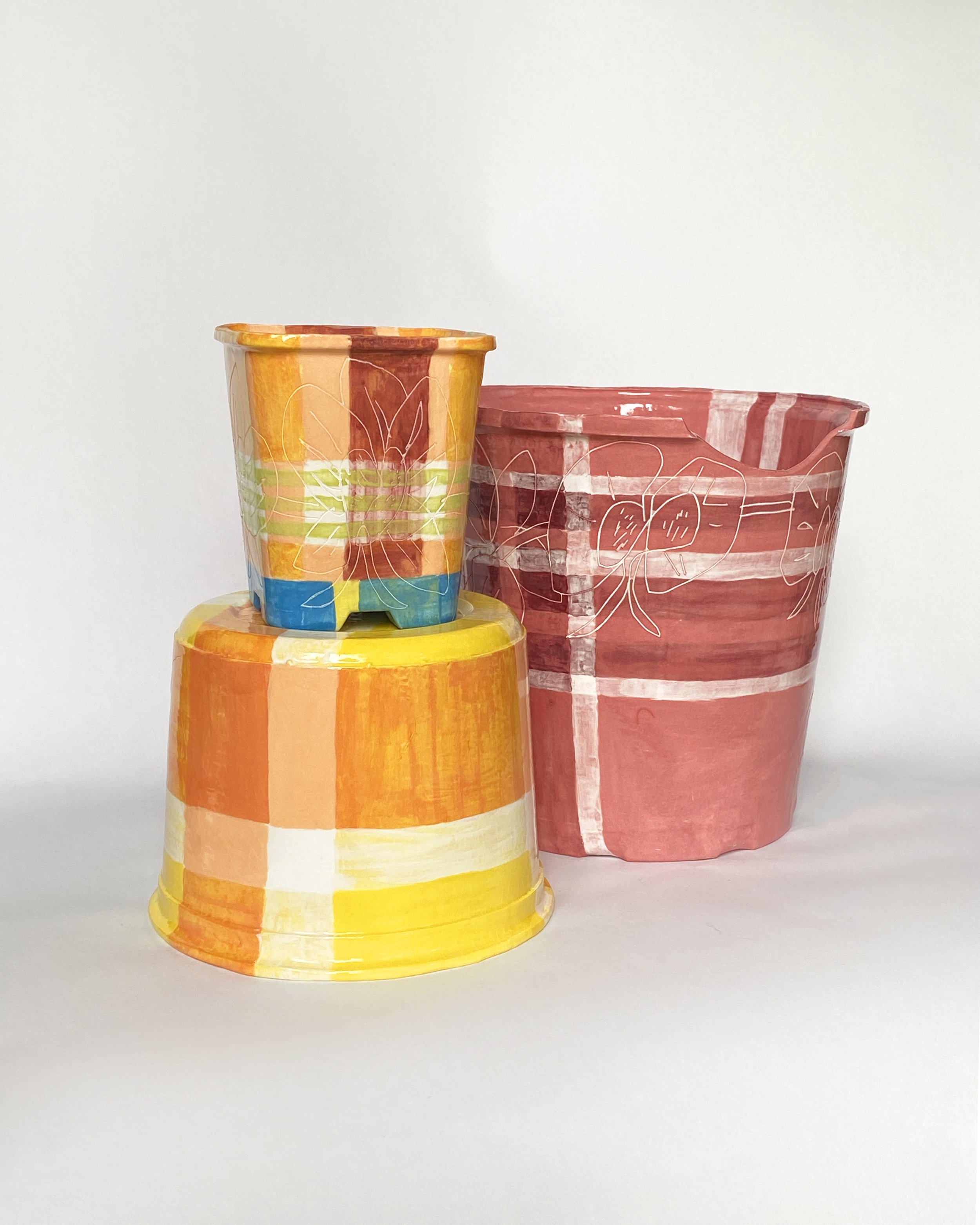  Assorted Orchid Onkaparinga Pots 2 