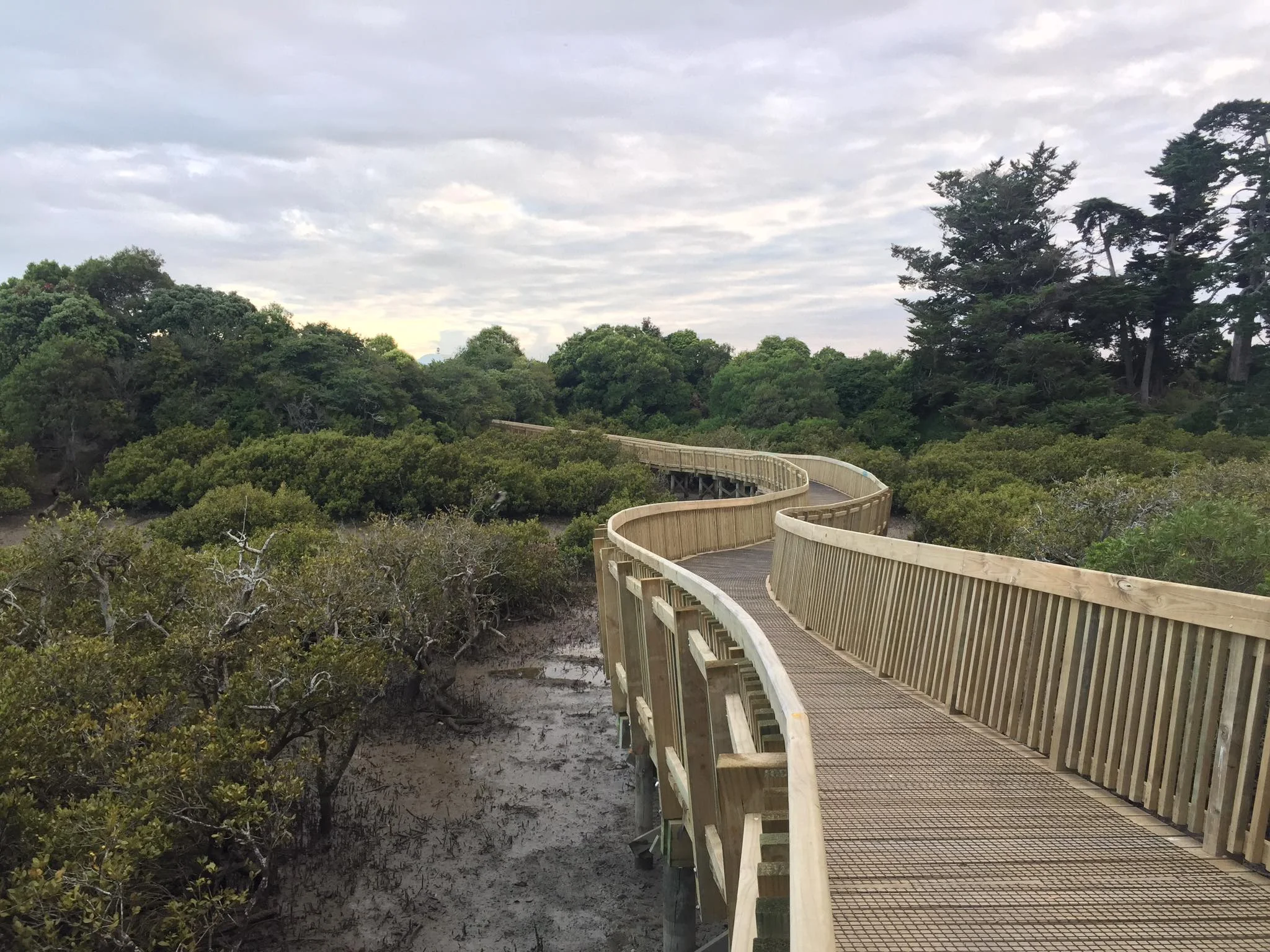 Connections and pathways