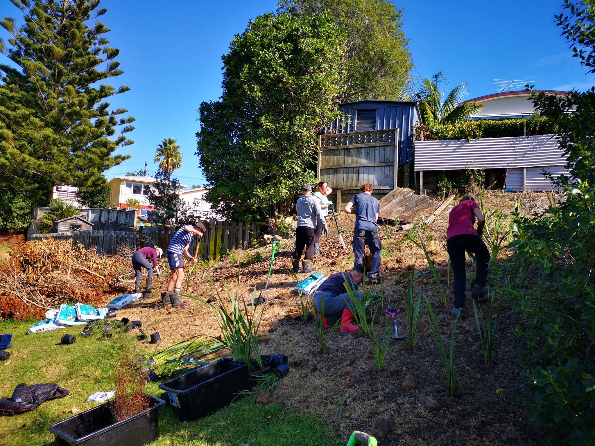 Locals planting at Cockle Bay Reserve