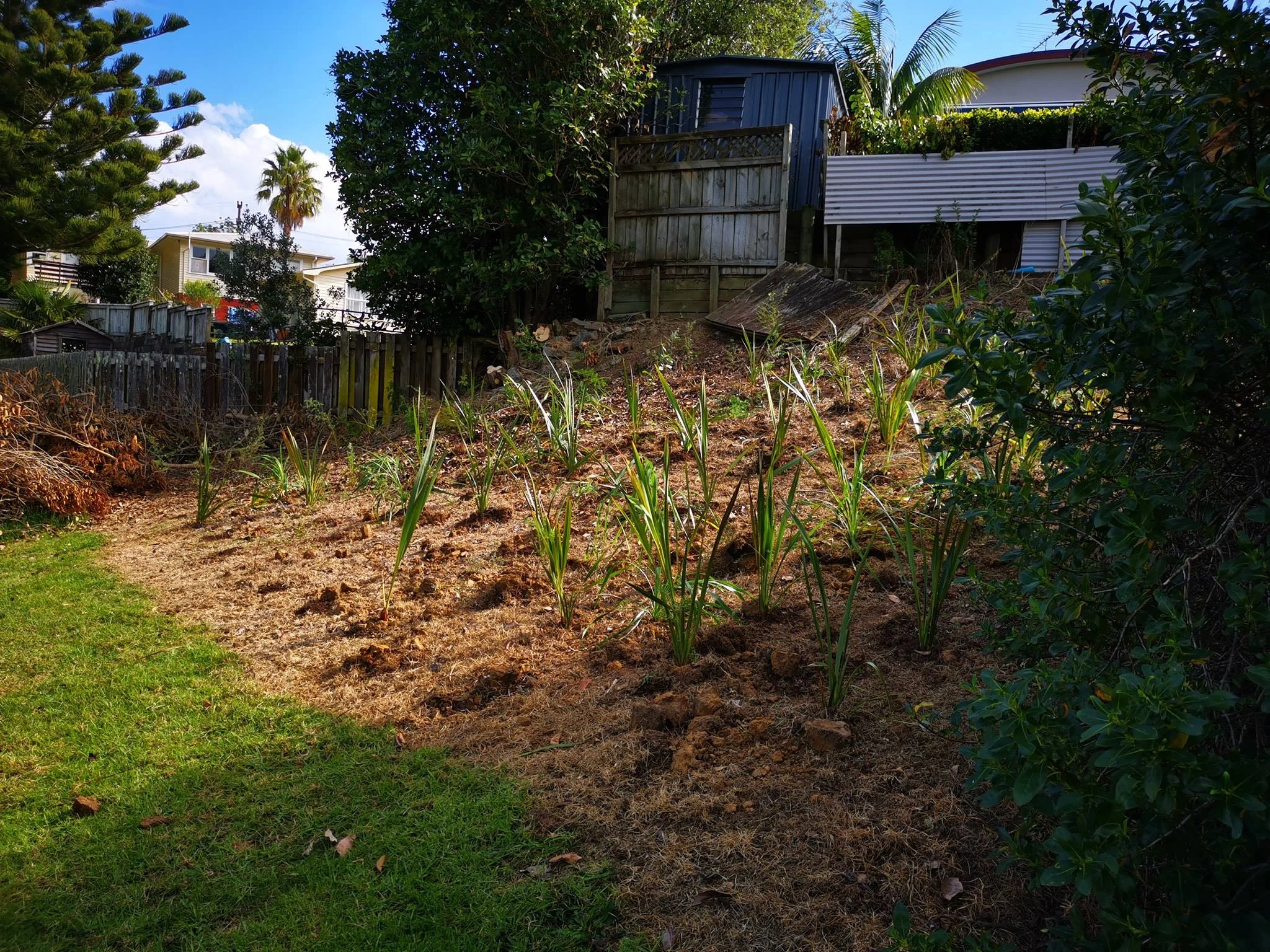 2019.04.20 Cockle Bay Domain 03.jpg
