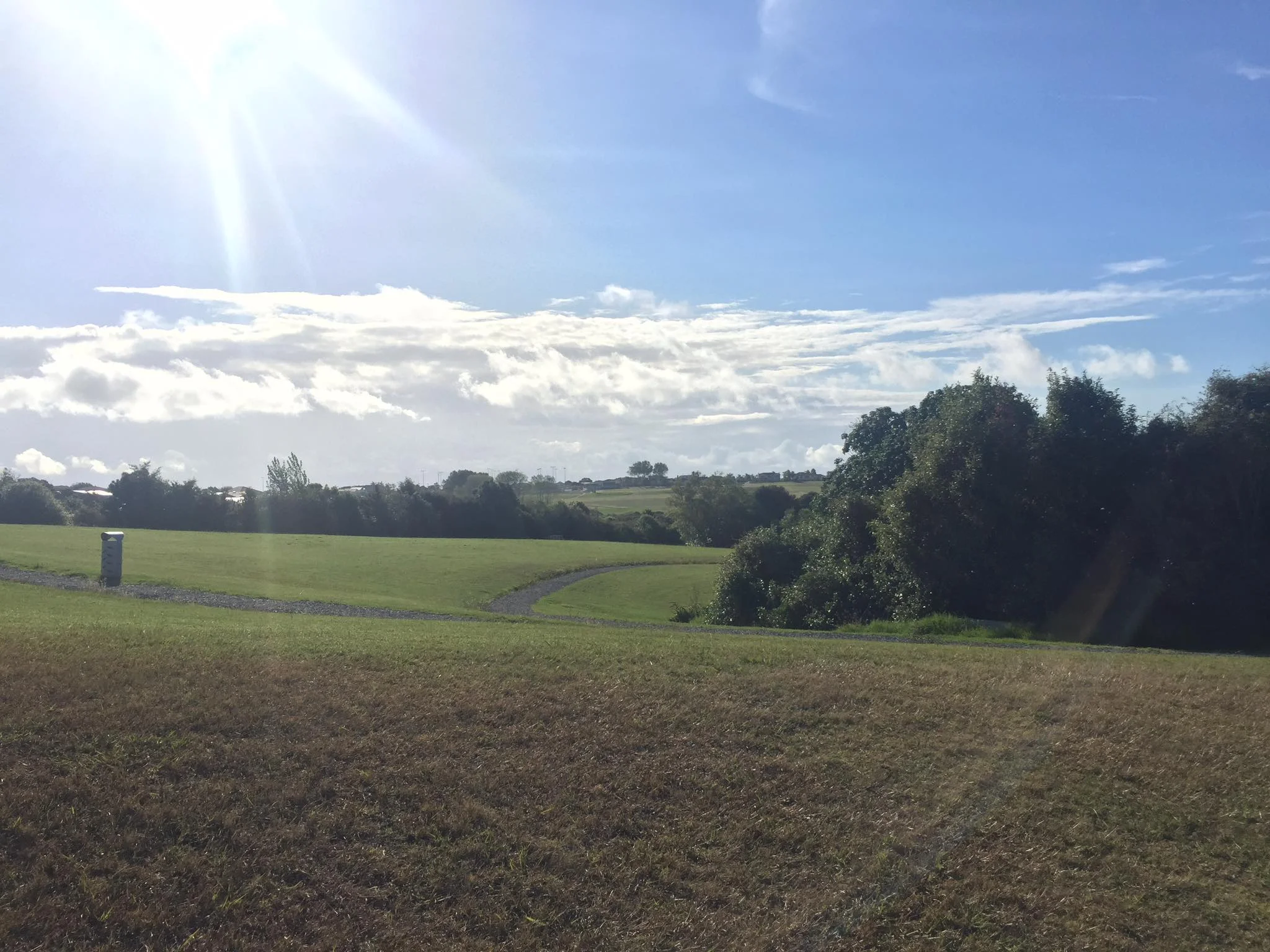 Macleans Park has new friends