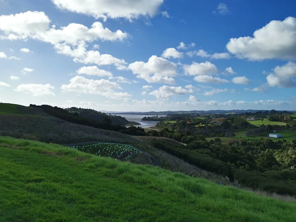 We've planted a million trees Auckland!