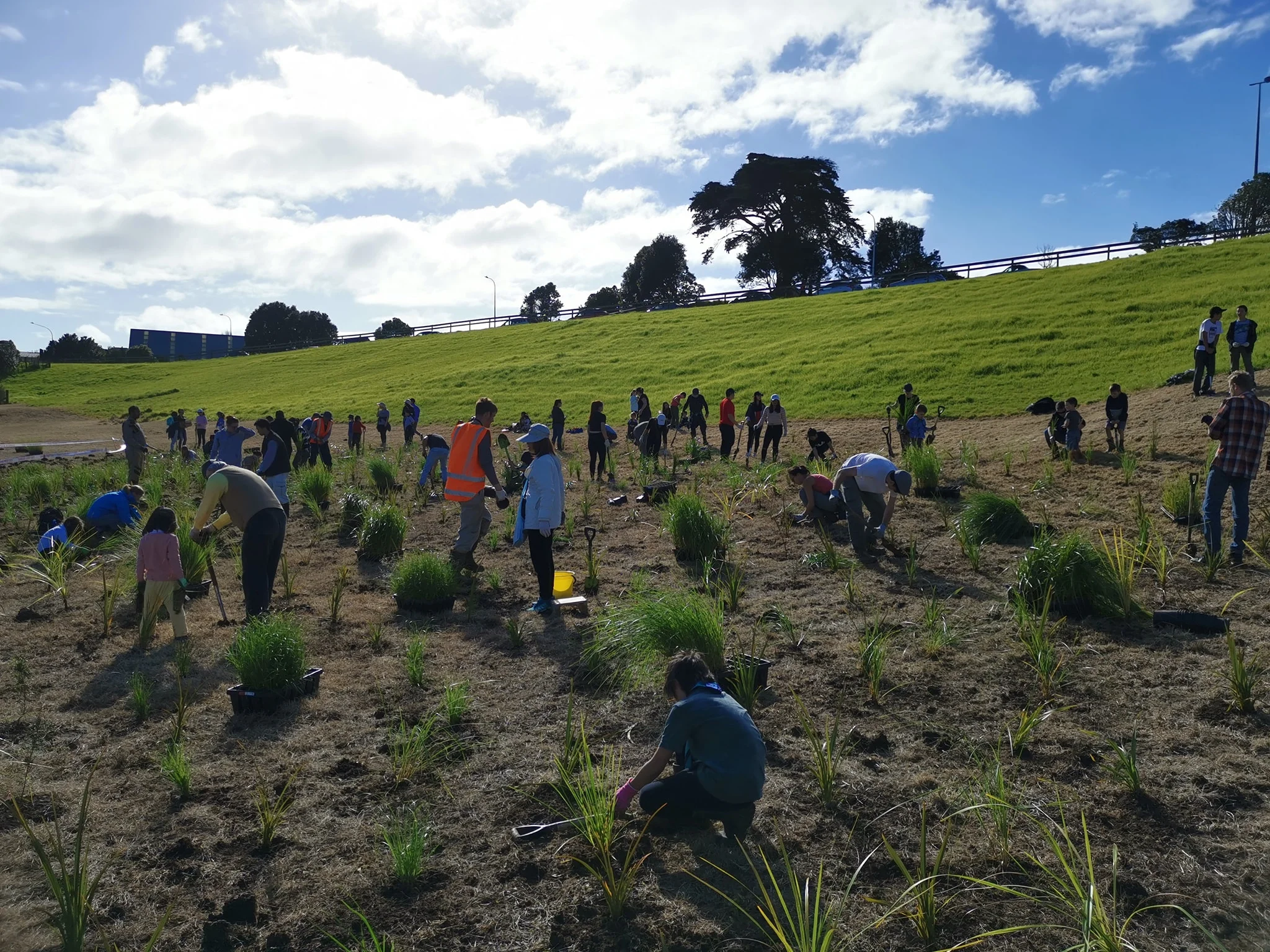 Community planting day a success