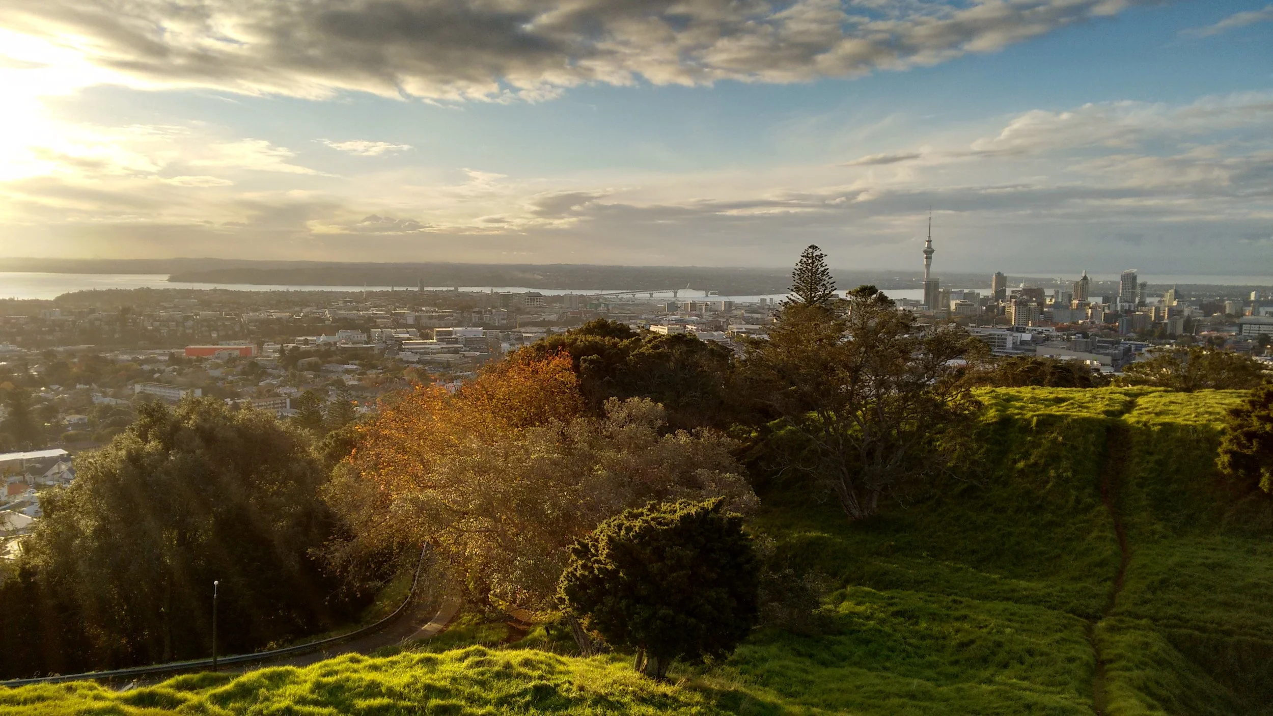 Auckland Council's proposed emergency budget is drastic
