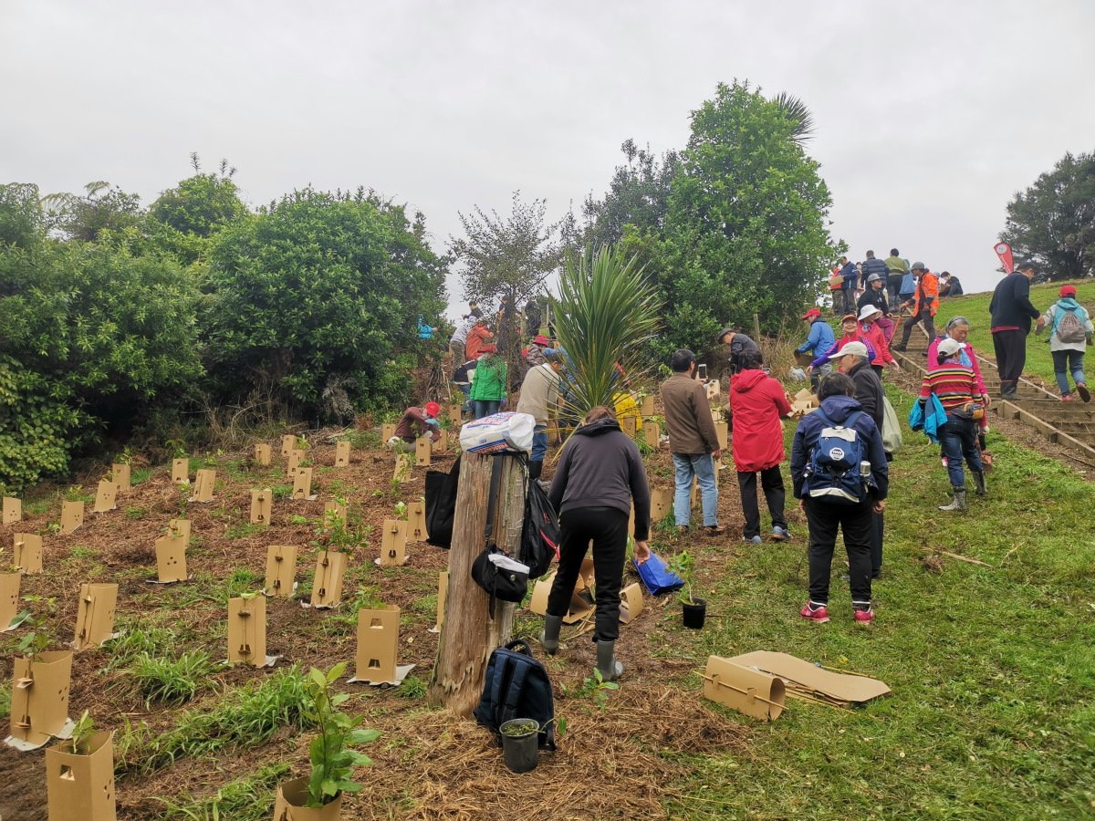 Community Planting day at Mangemangeroa