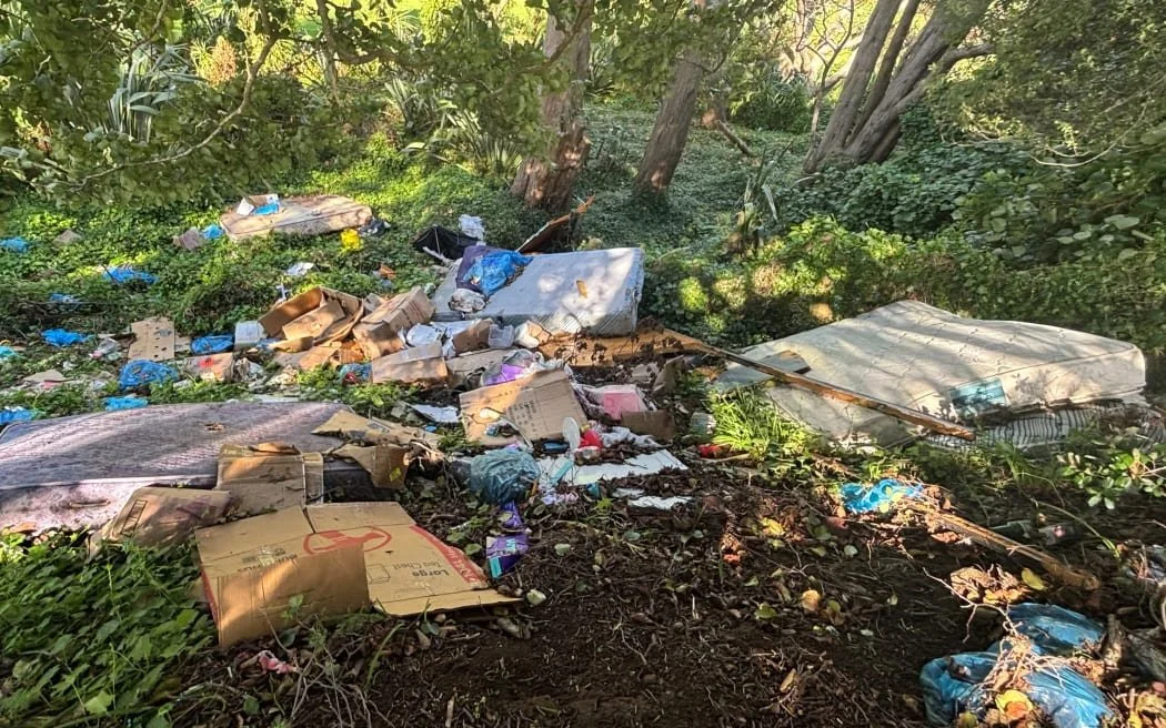 Illegal dumping a blight on our community
