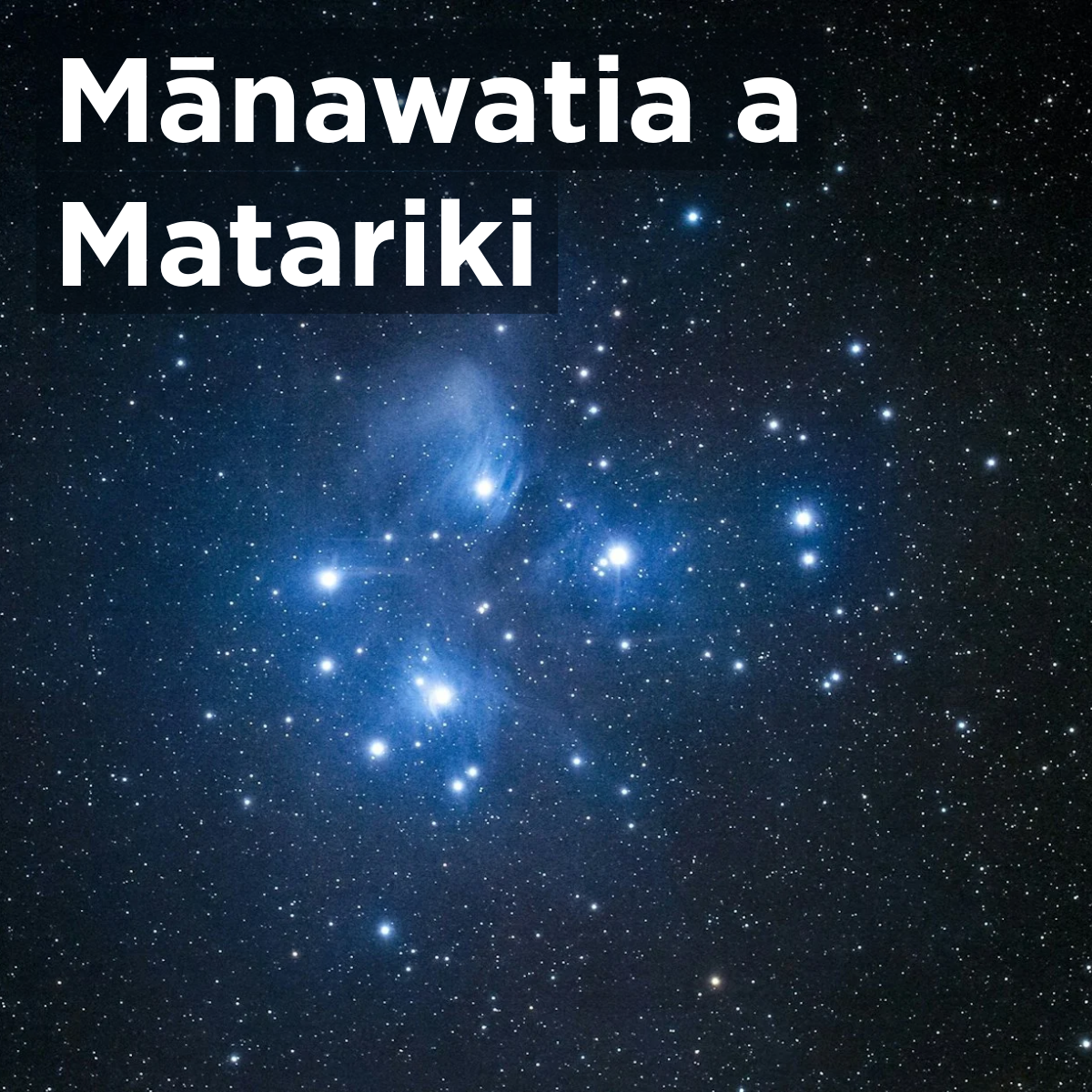 Mānawatia a Matariki!