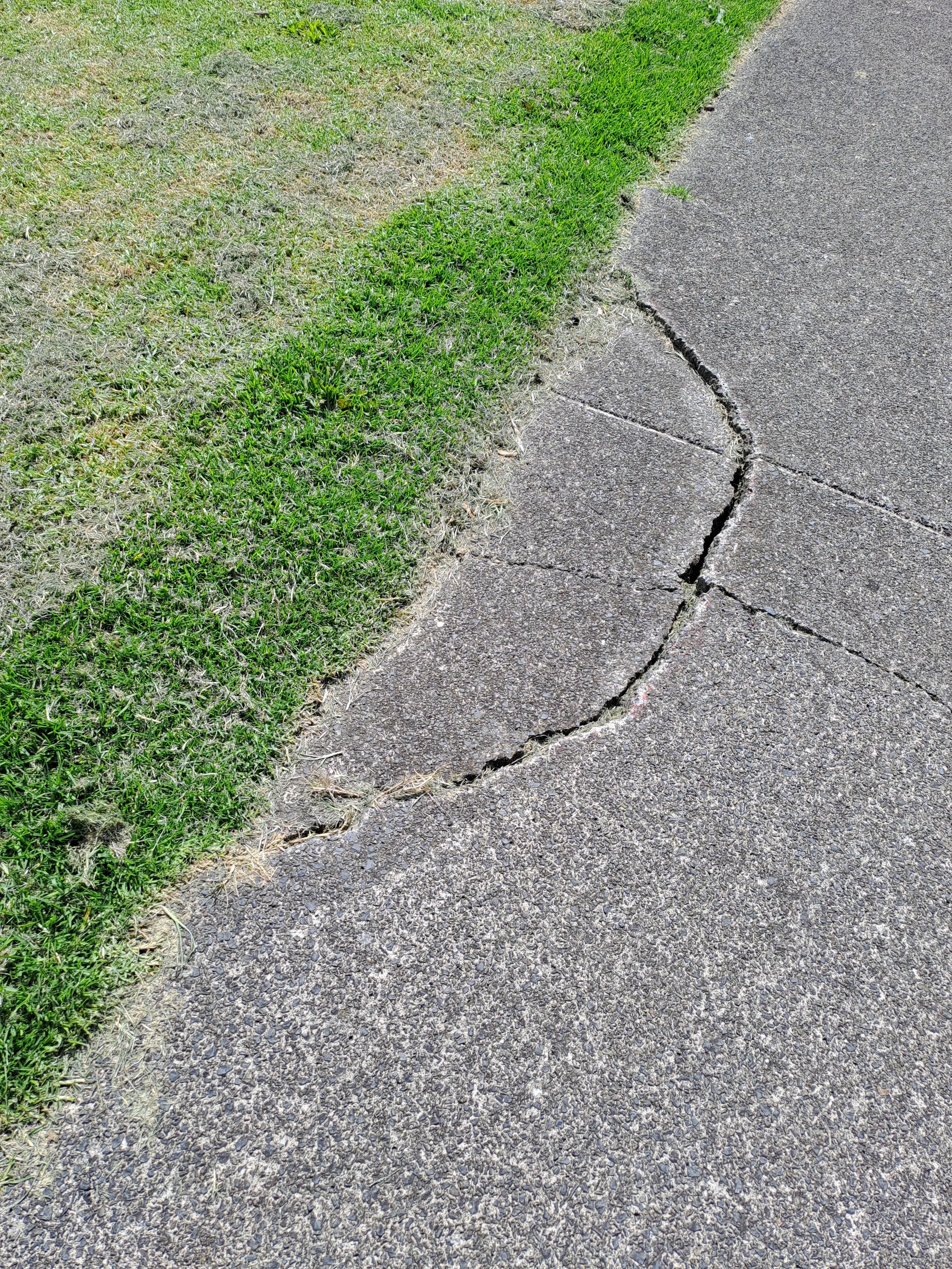In the newspaper: One in seven local footpaths are broken or missing