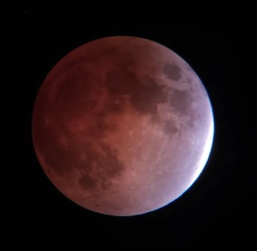 Blood Moon over Botany