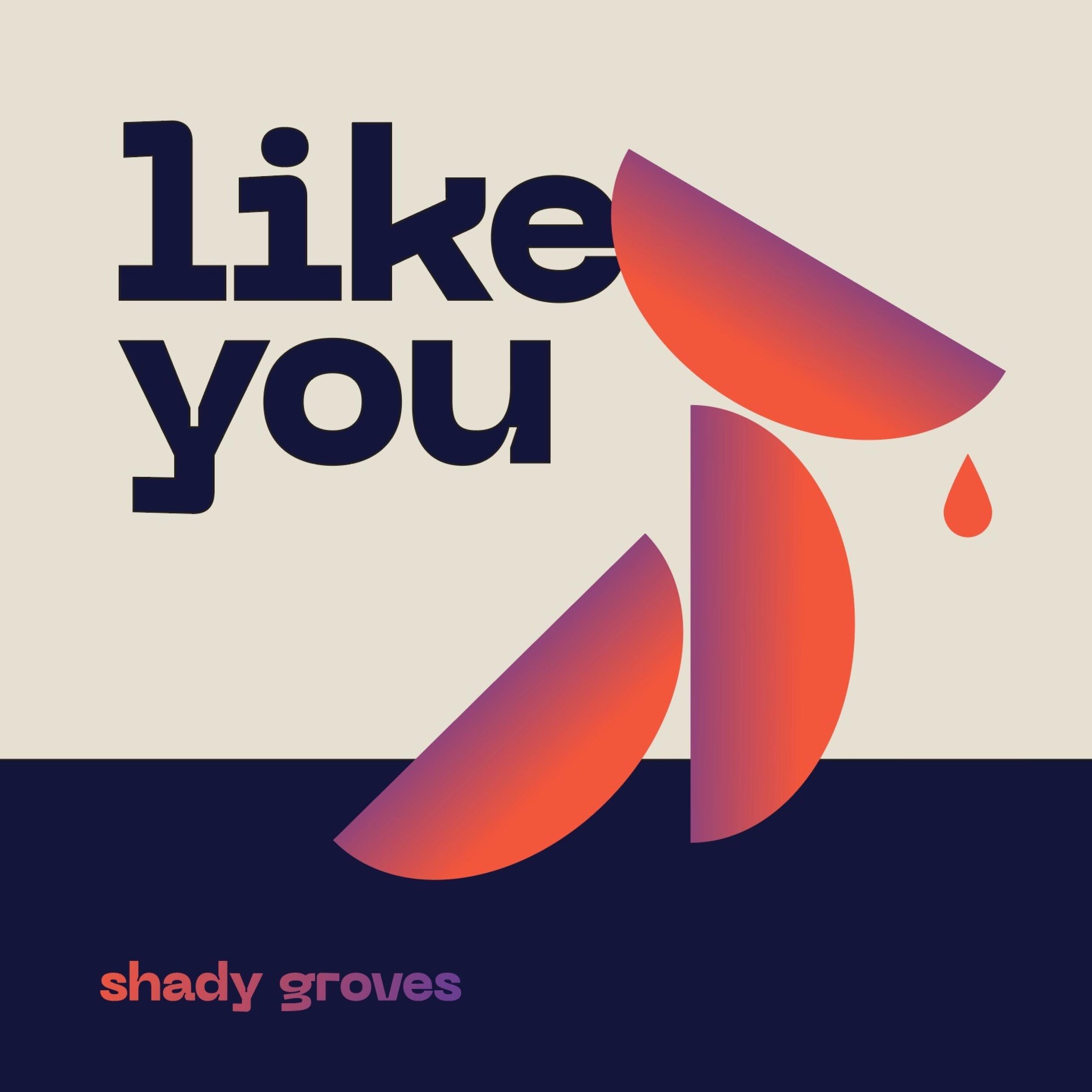 https://www.underflowrecords.com/shady-groves