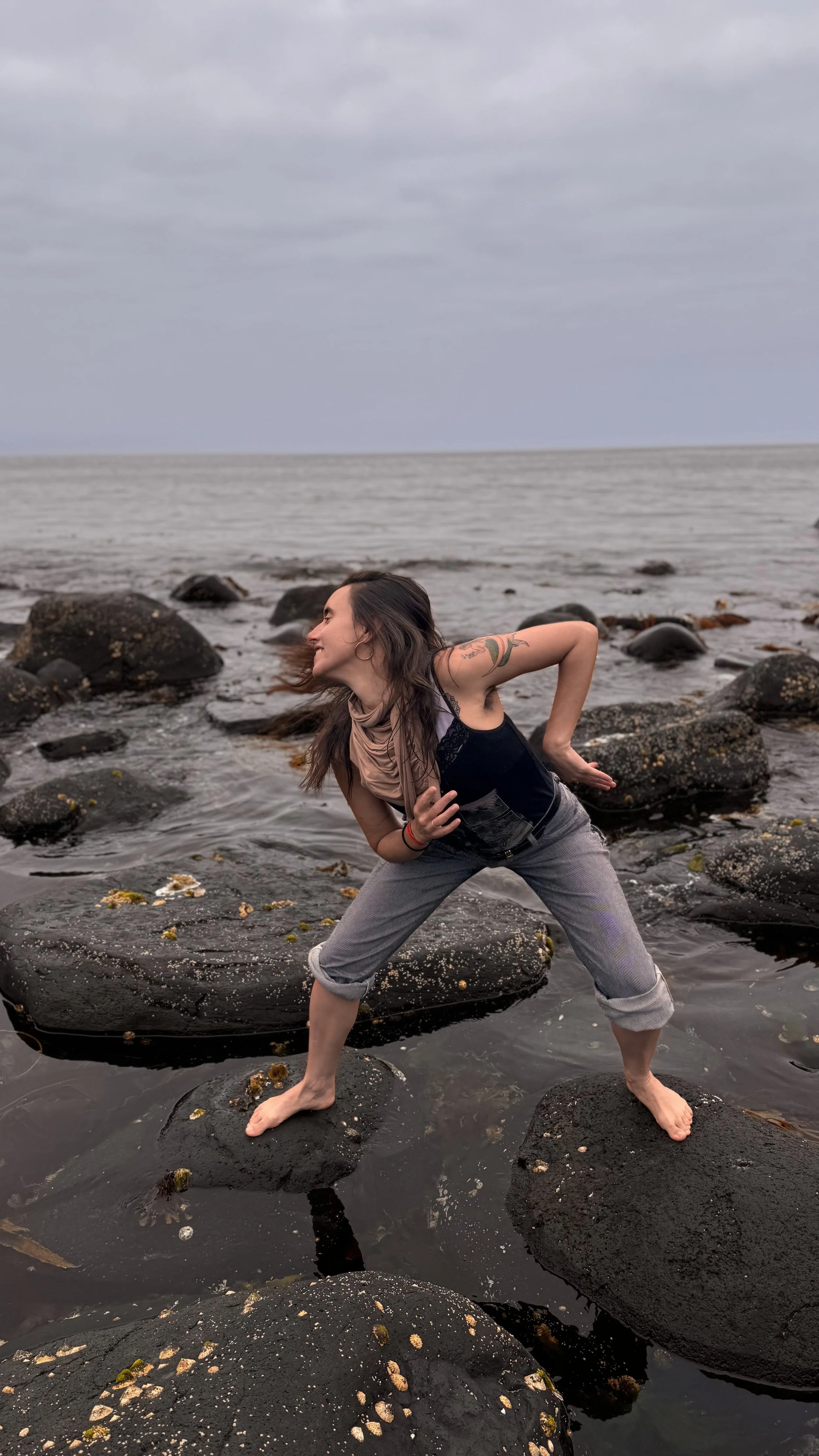 Cindy Giants Causeway Ireland movement art series 1.jpg