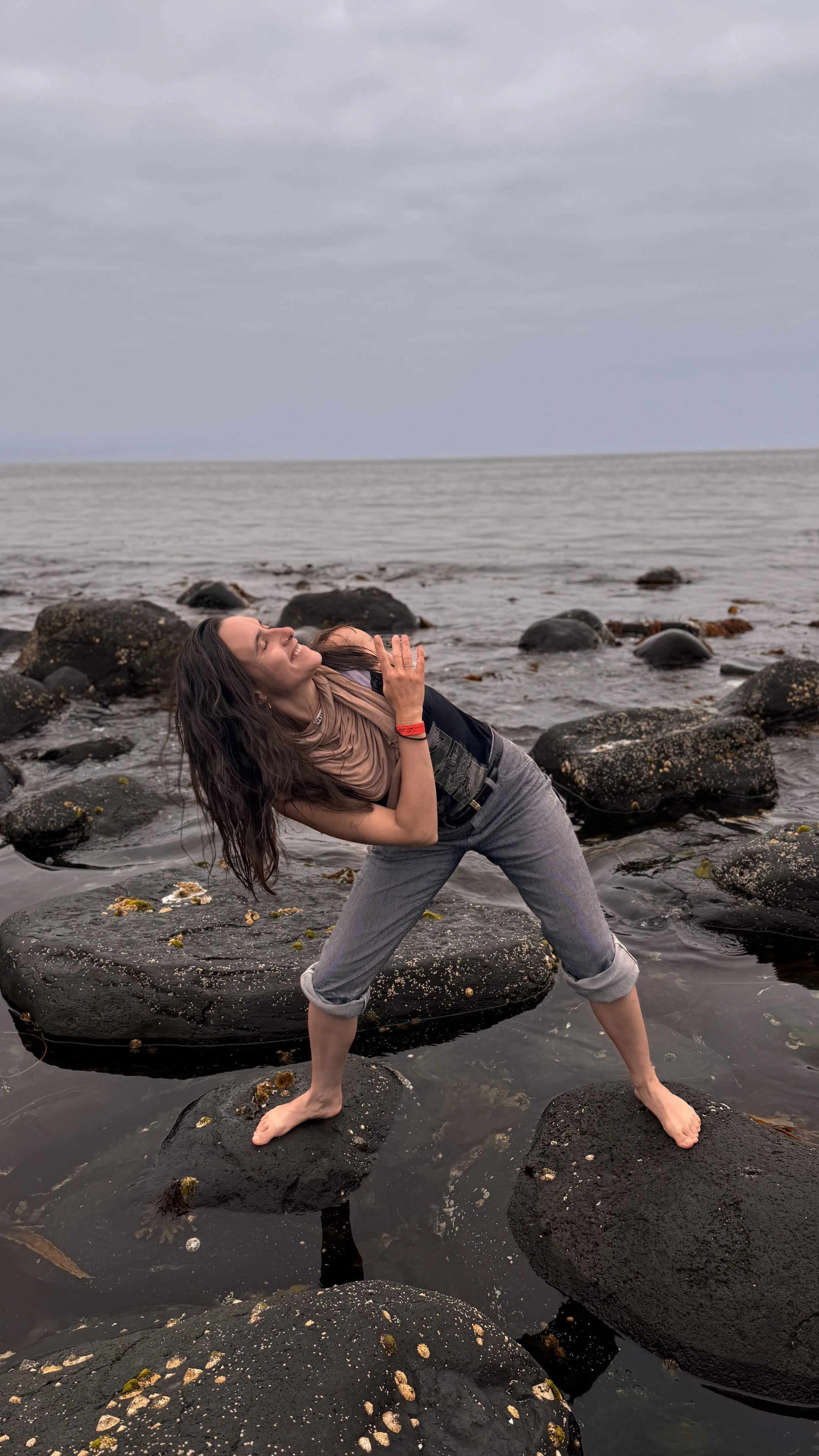 Cindy Giants Causeway Ireland movement art series 2.jpg