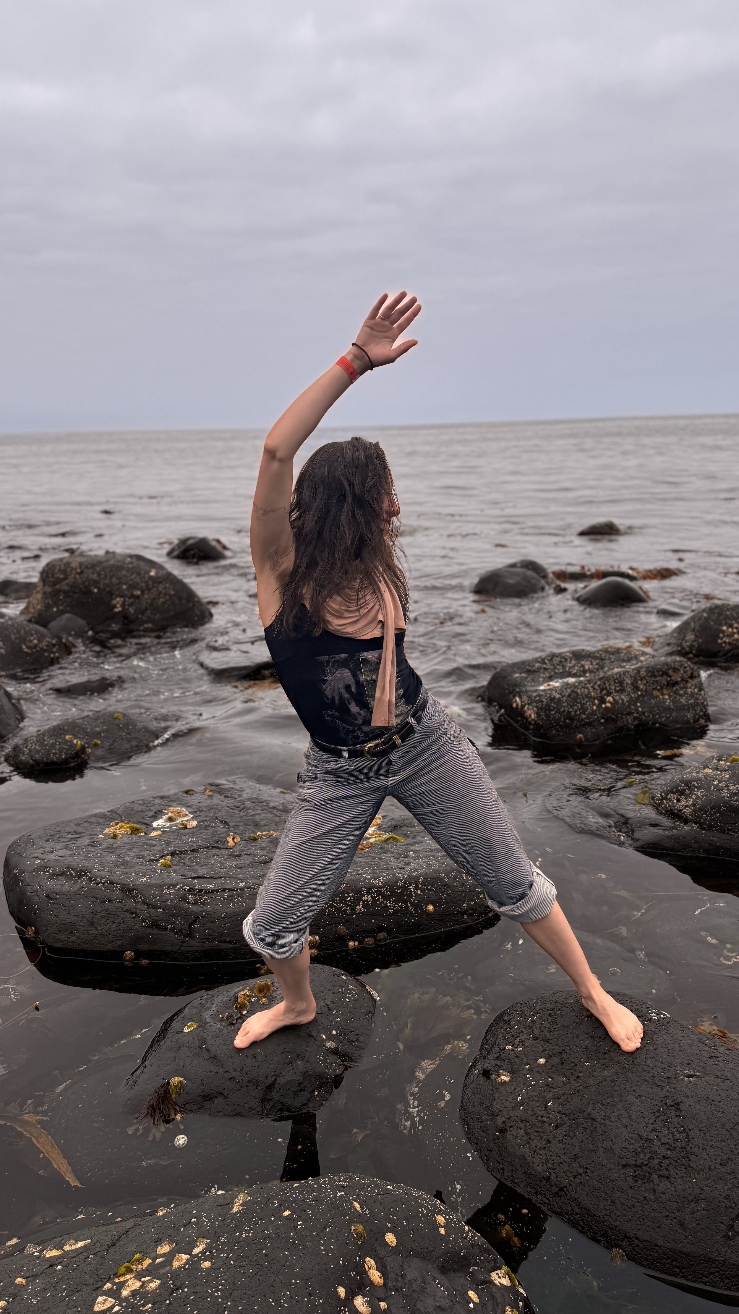 Cindy Giants Causeway Ireland movement art series 3.jpg