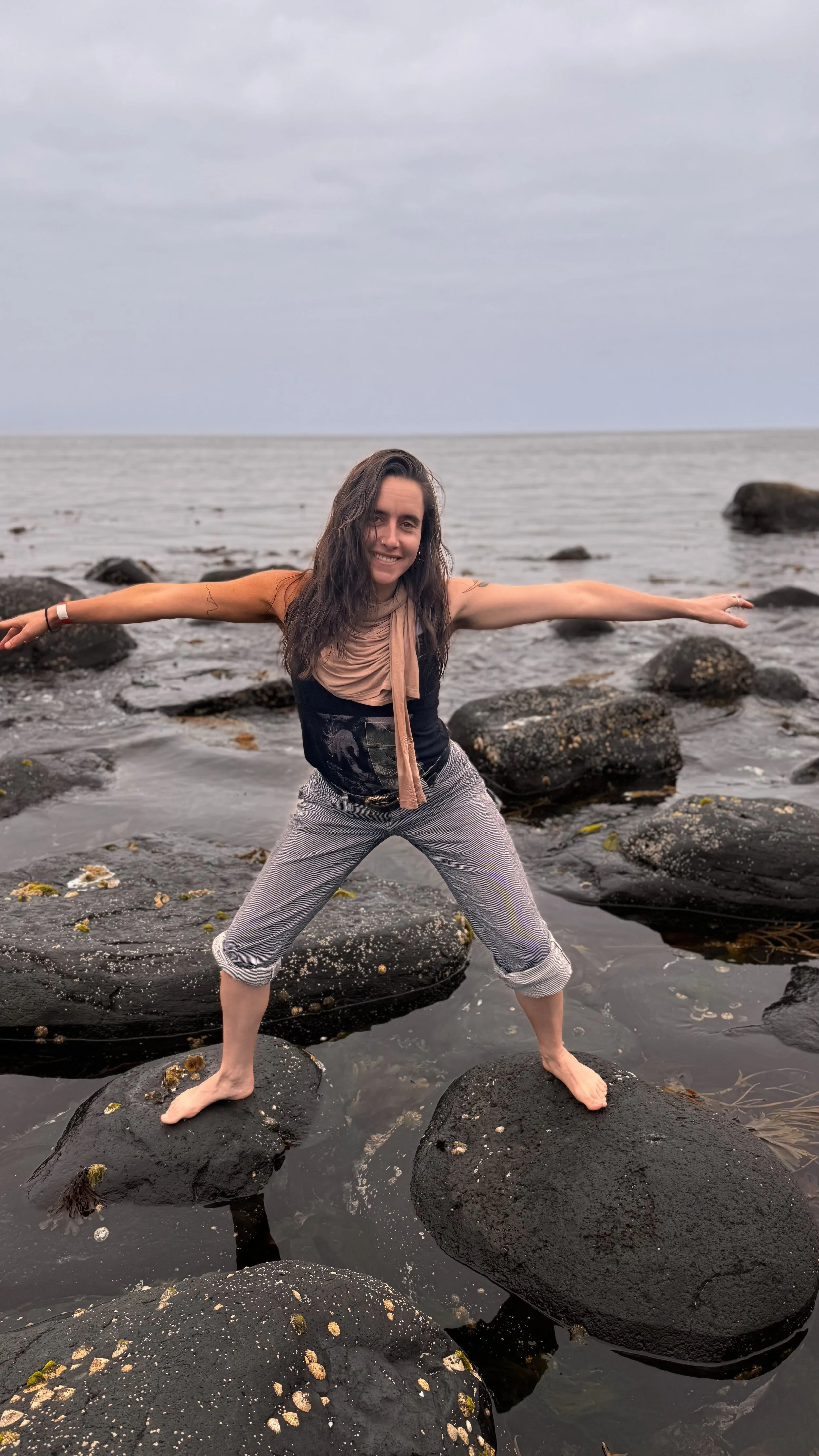 Cindy Giants Causeway Ireland movement art series 4.jpg