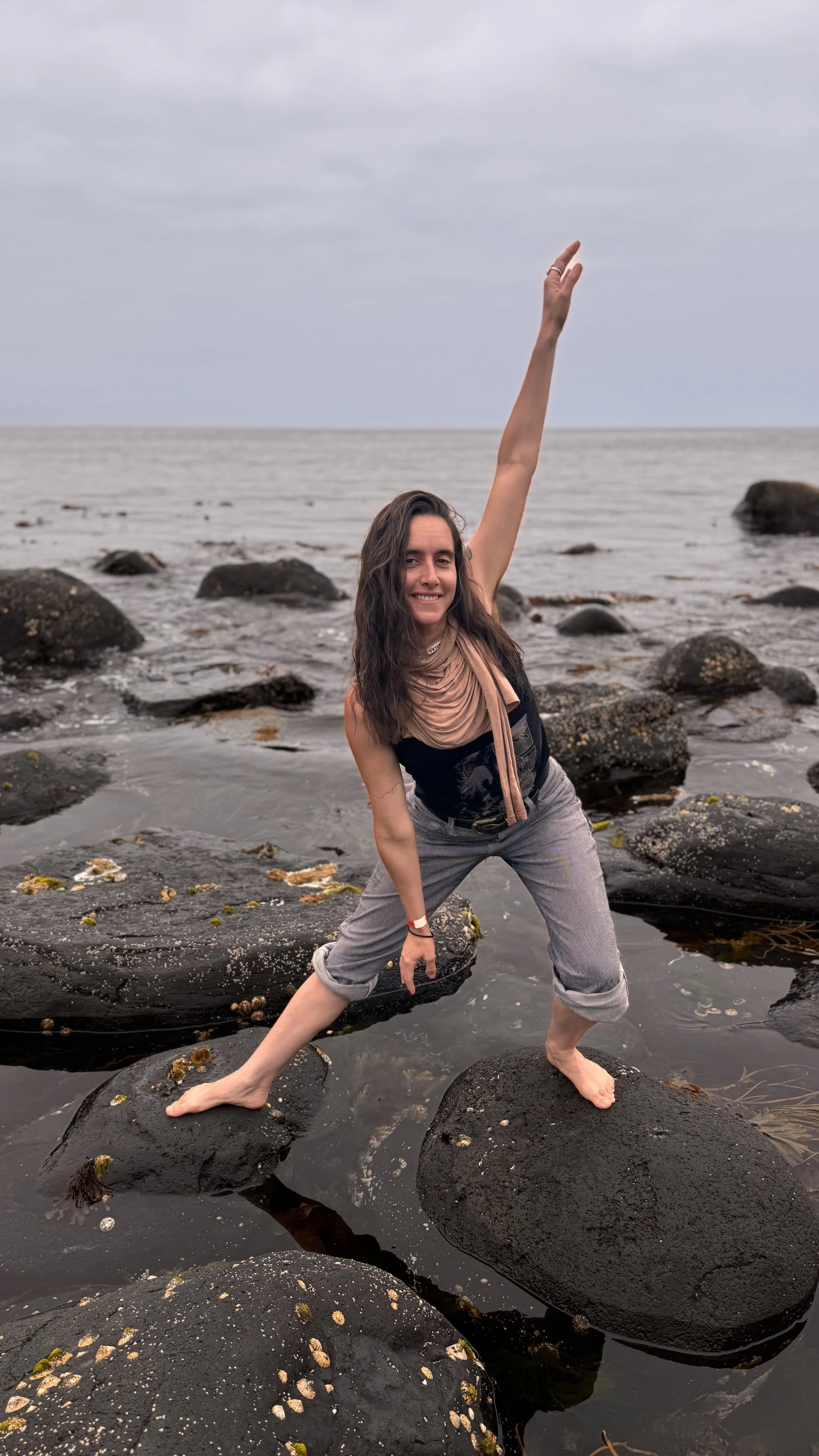 Cindy Giants Causeway Ireland movement art series 5.jpg