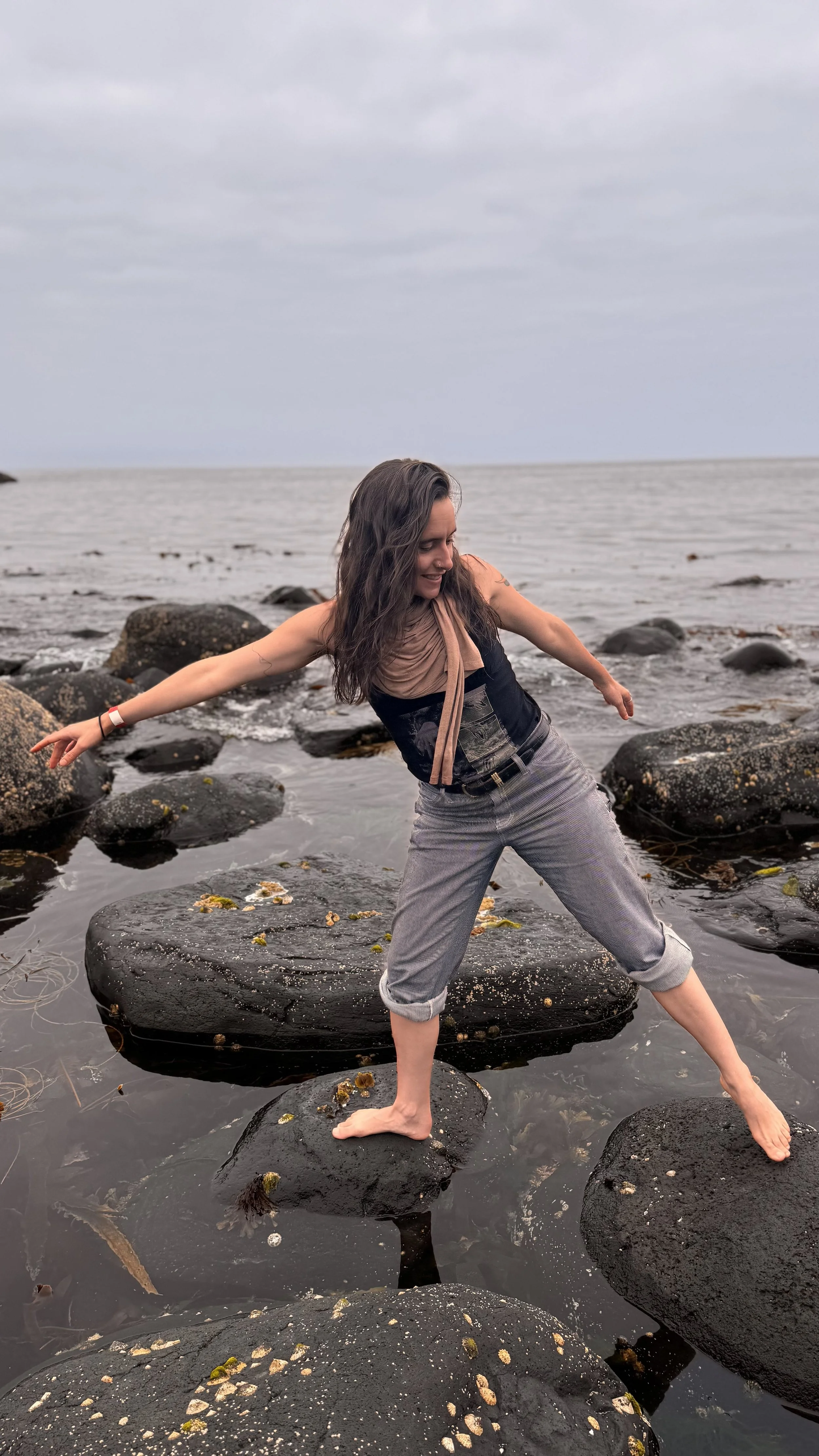 Cindy Giants Causeway Ireland movement art series 6.jpg