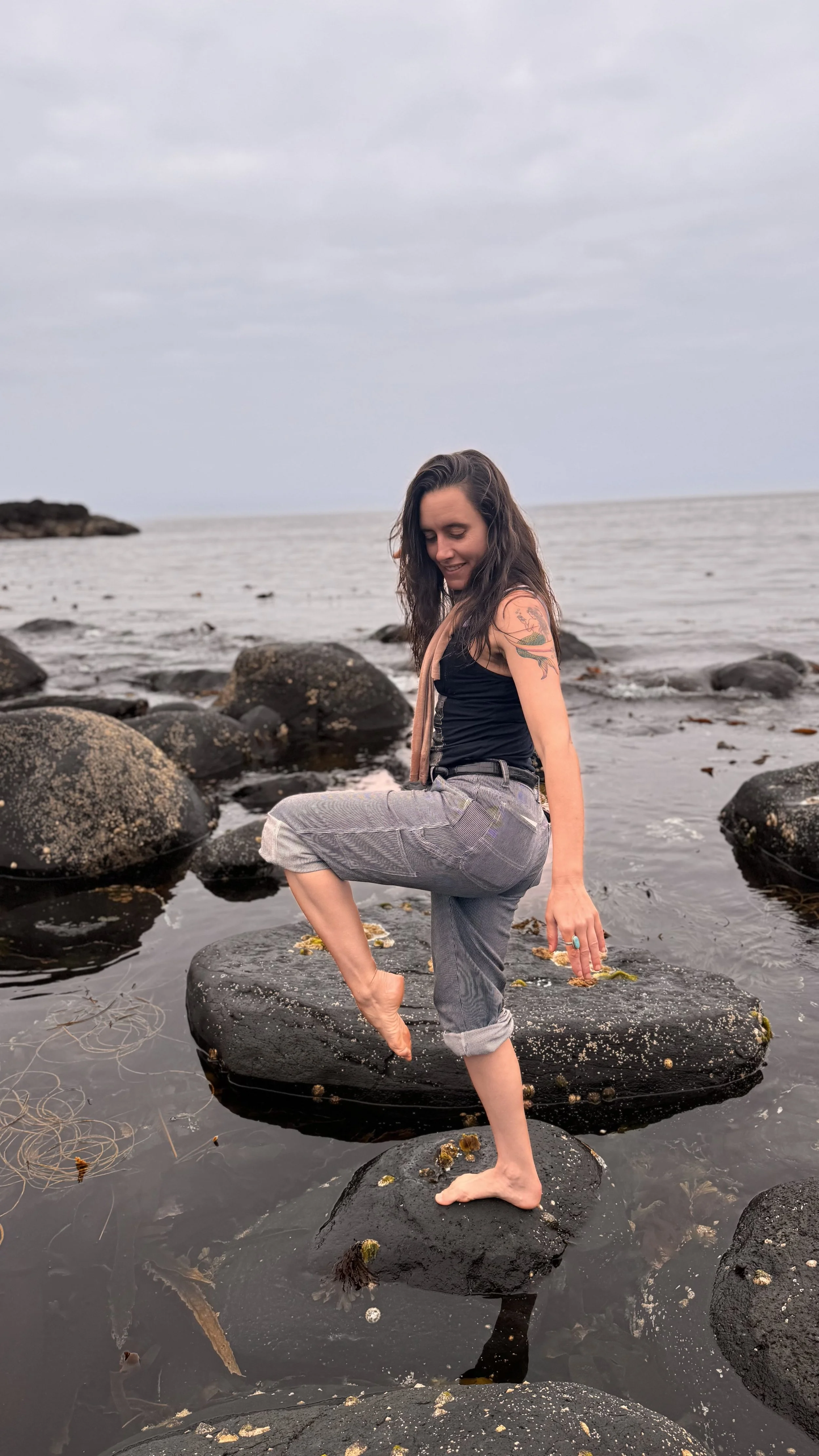 Cindy Giants Causeway Ireland movement art series 7.jpg