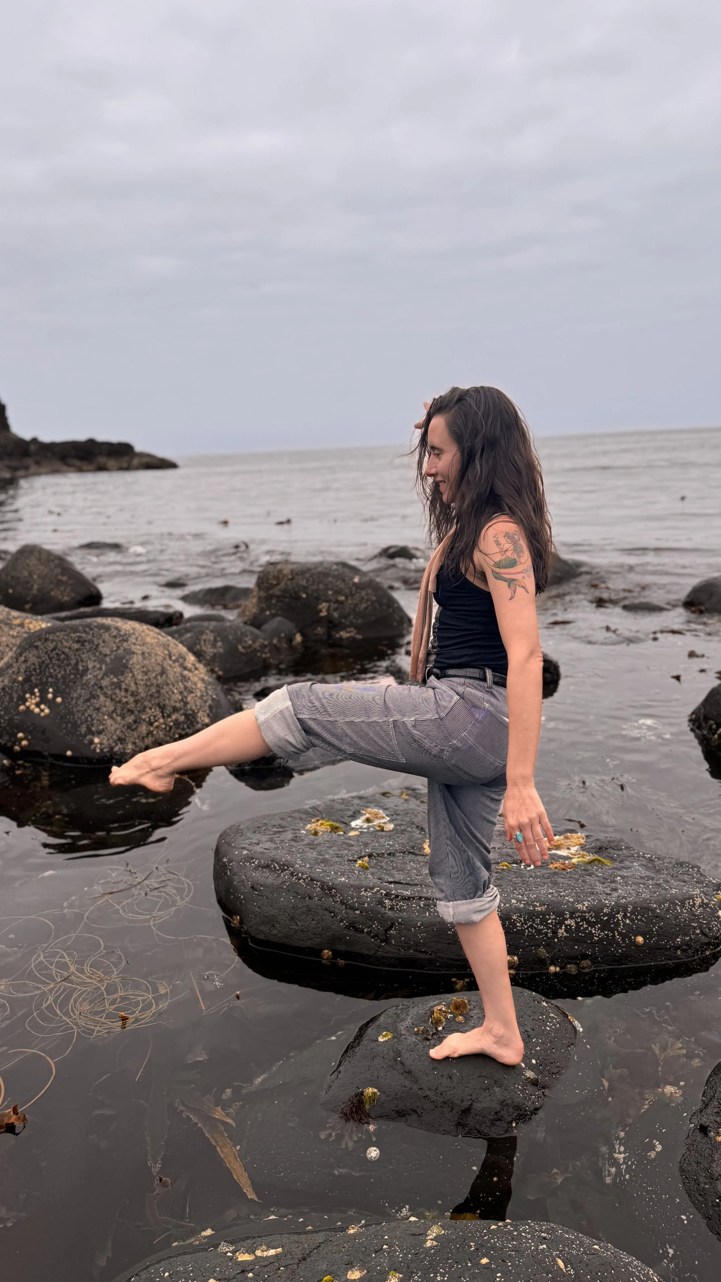 Cindy Giants Causeway Ireland movement art series 8.jpg