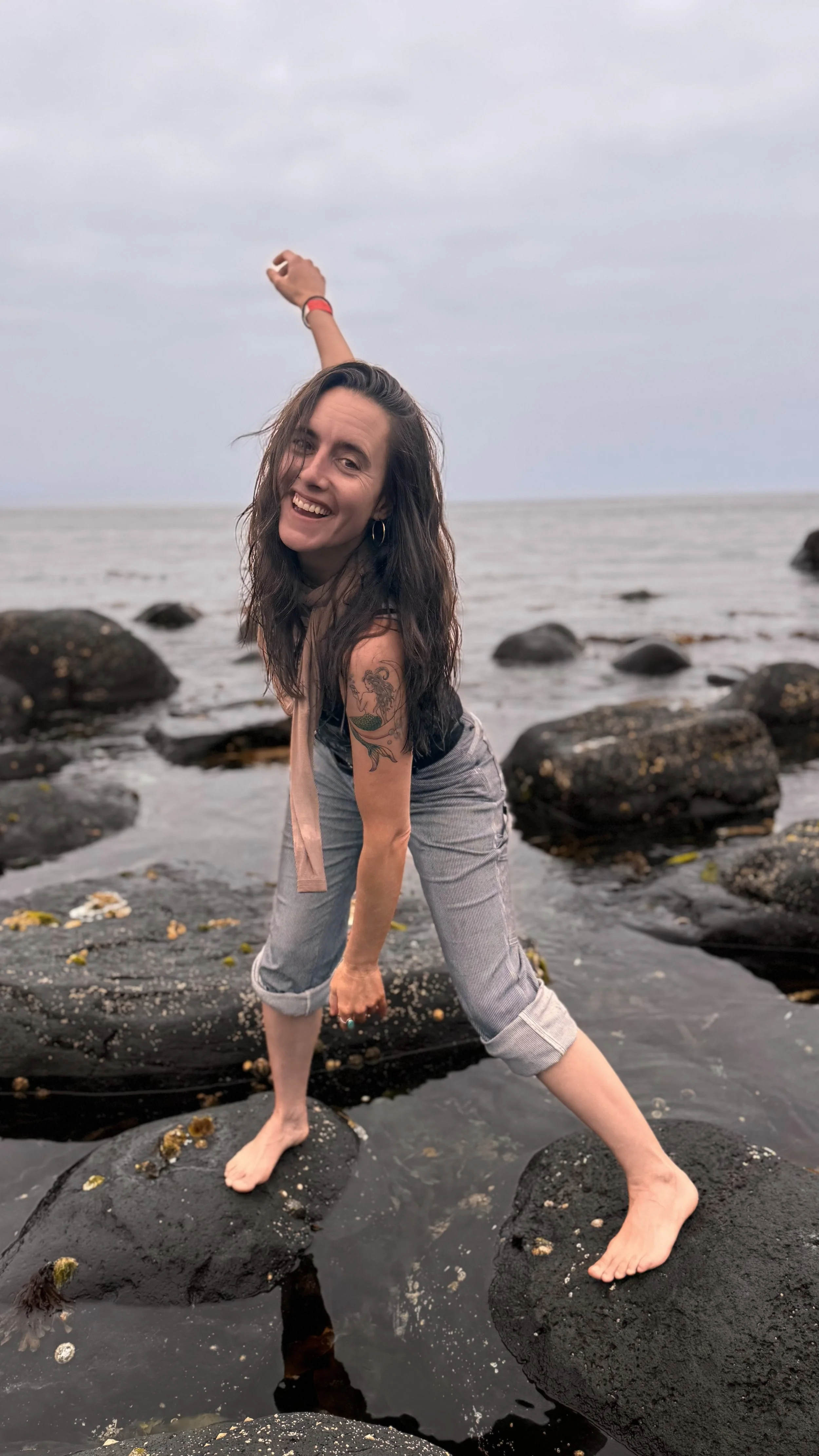 Cindy Giants Causeway Ireland movement art series 9.jpg