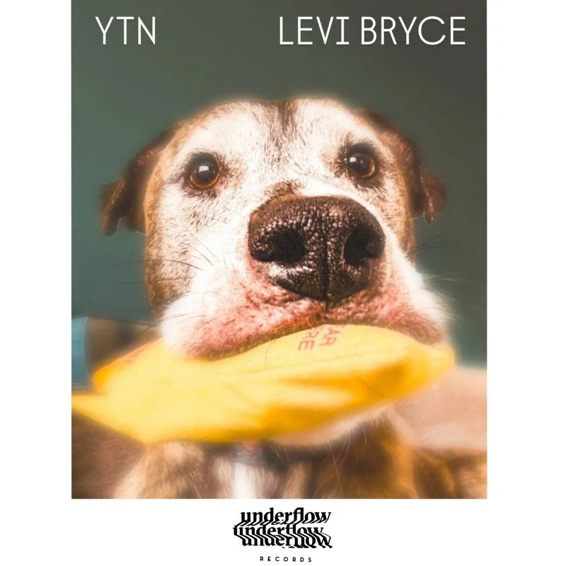 Yesterdays Tomorrows News by Levi Bryce.jpg