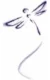 Dragonfly.jpg