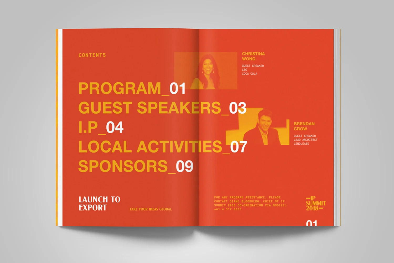 IPSummit-11.jpg