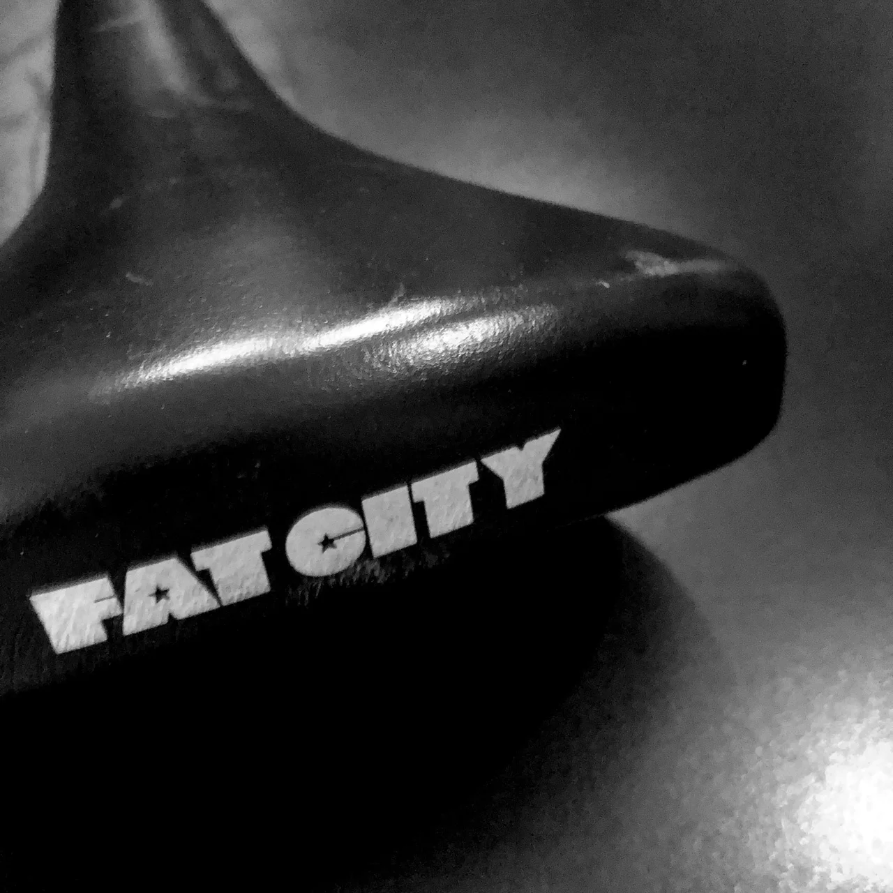 Fat City Seat.jpg