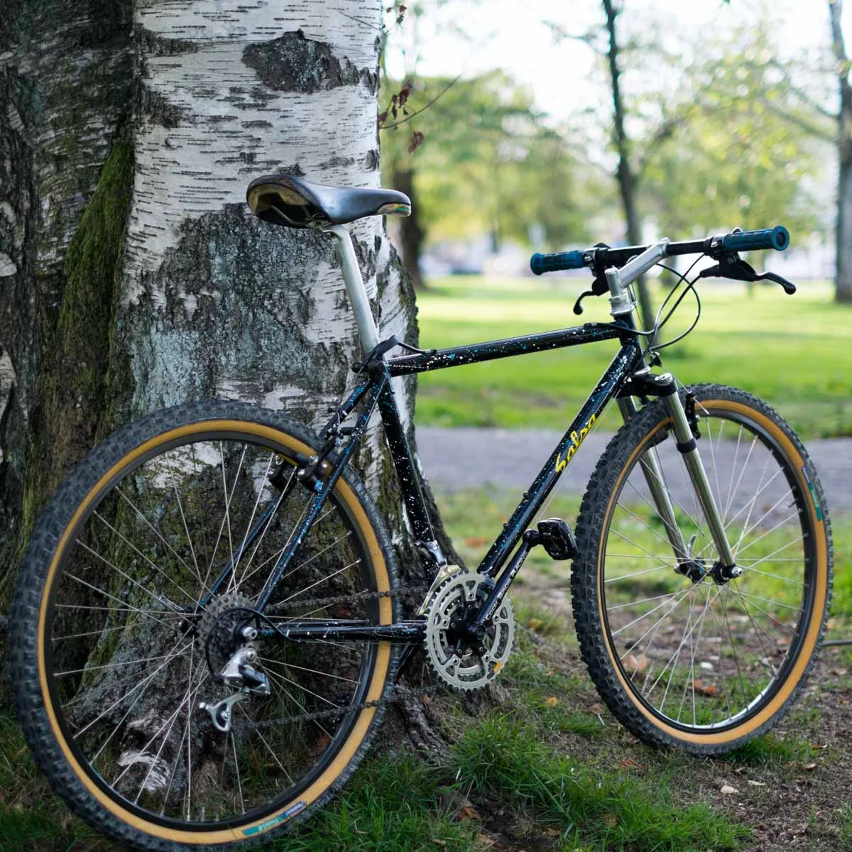 Salsa Cycles \