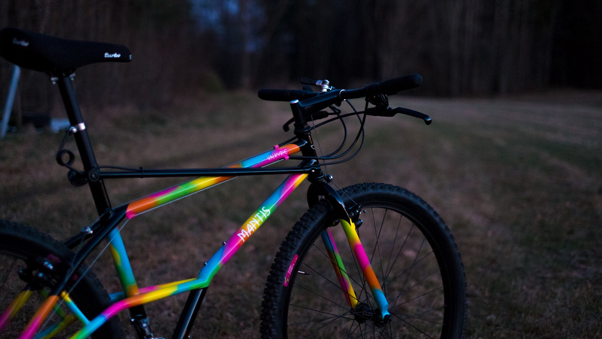 1989 Mantis Valkyrie #VK1916 u2014 Vintage MTB Scandinavia
