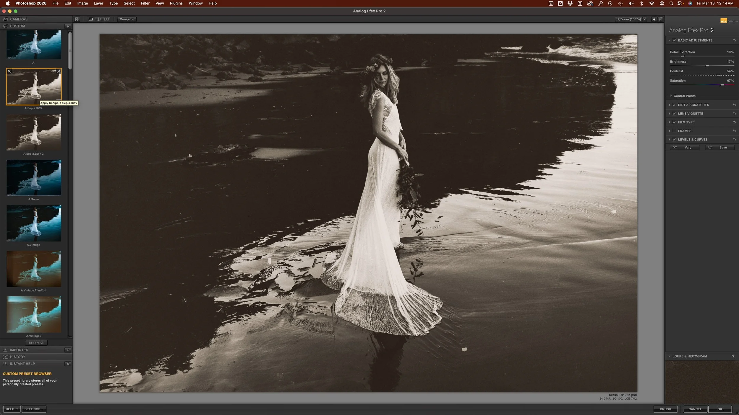 Dress II.0198.Sepia.BW7.jpg