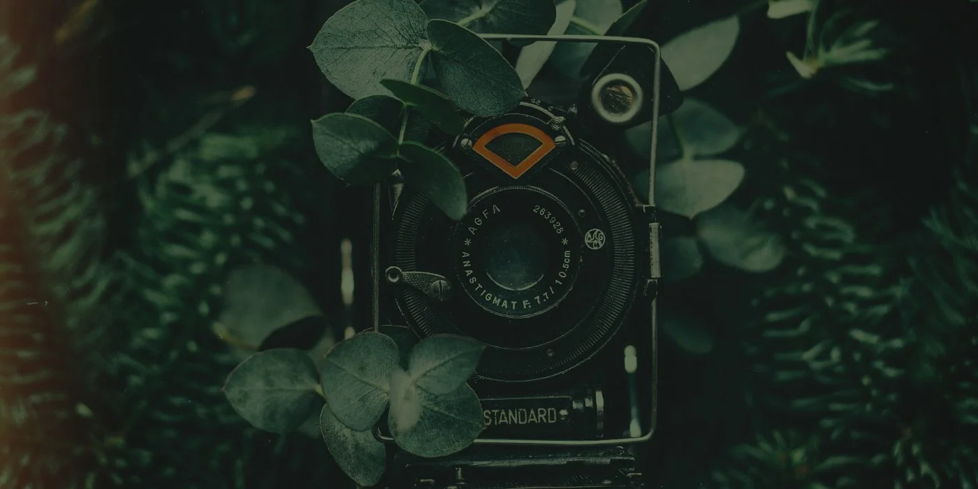 Agfa.New7.NoAgfa.NoOrange.jpg