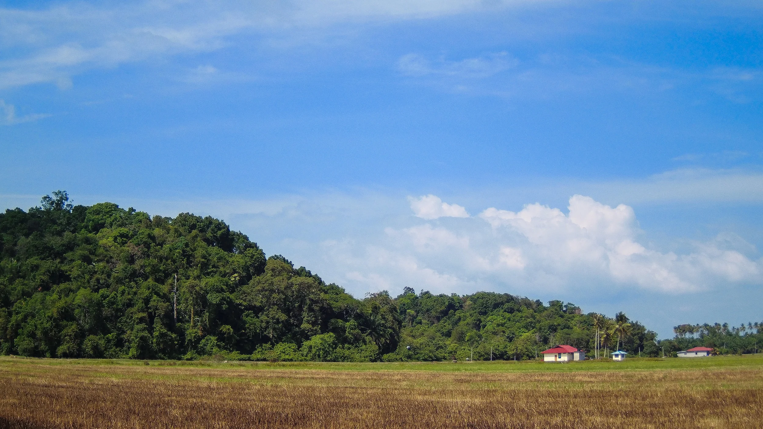 2019_Mersing_Field_014.jpg