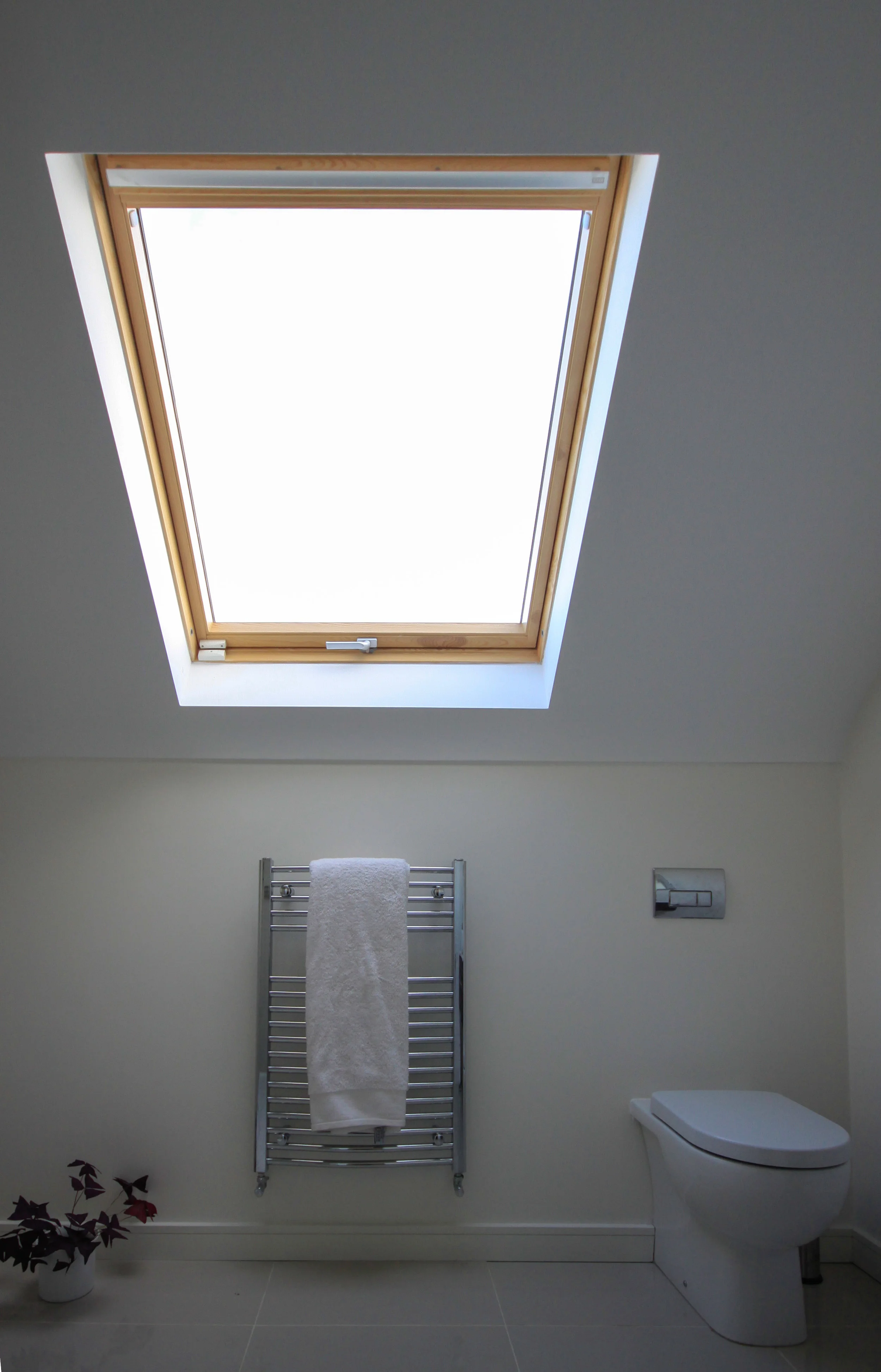 untitled-1-of-1-4_31179440836_o.jpg