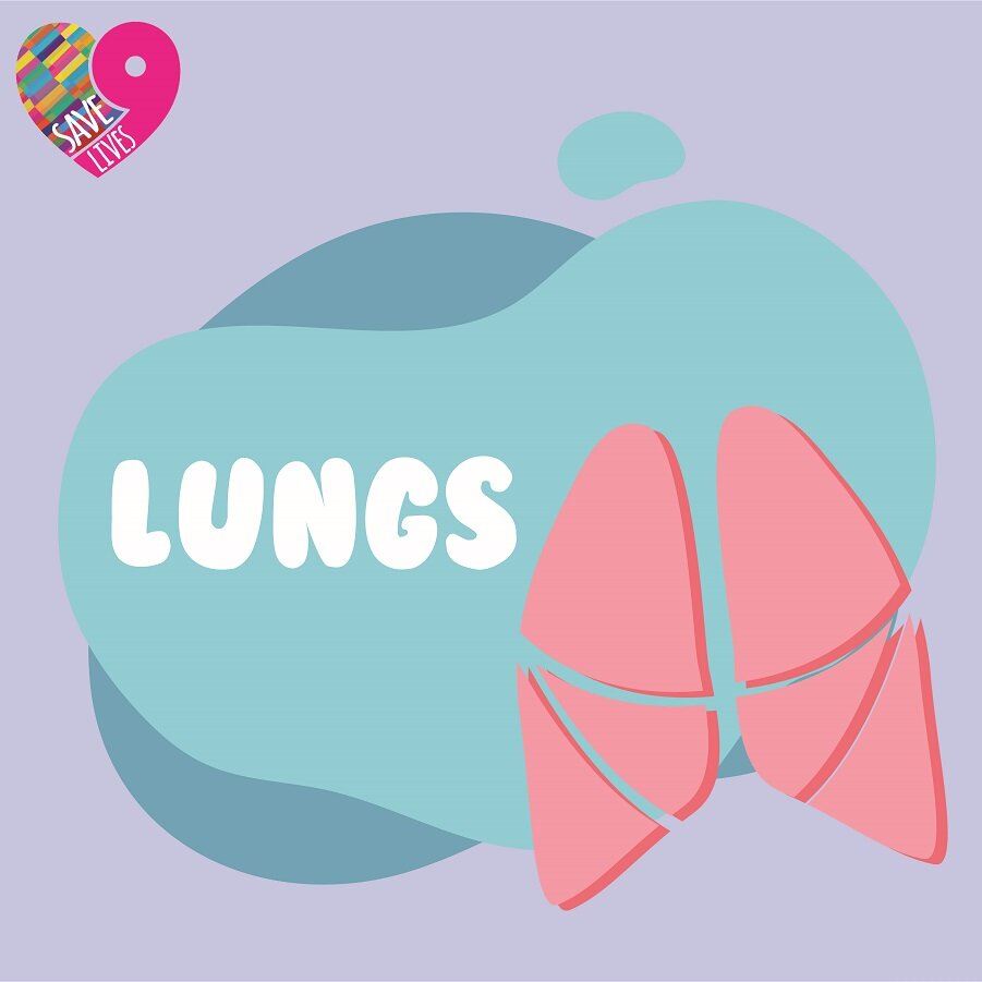 Lungssml.jpg